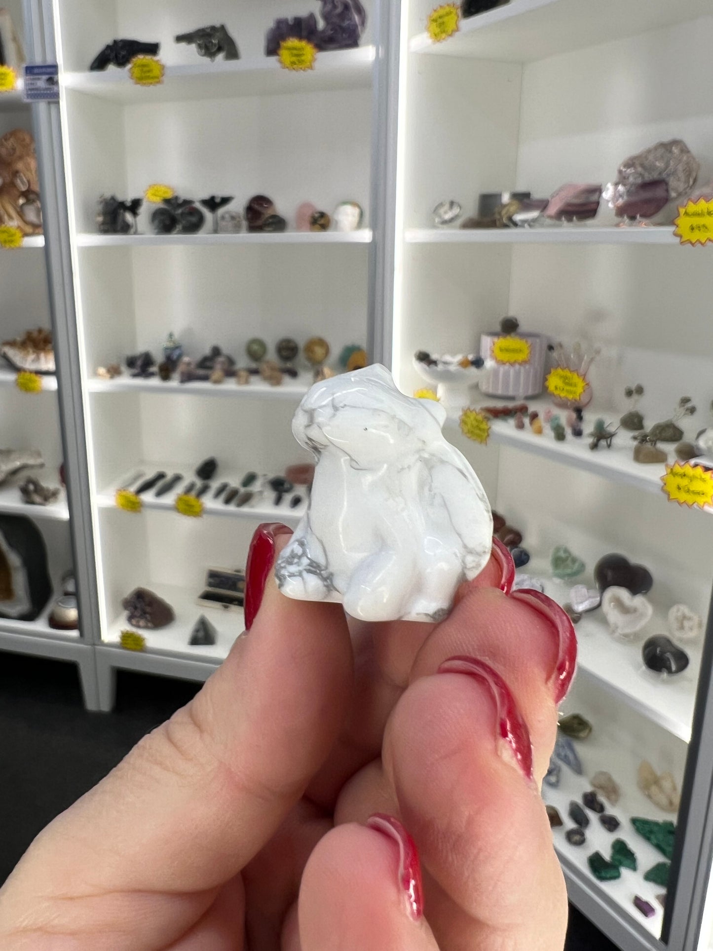 Howlite Toothless