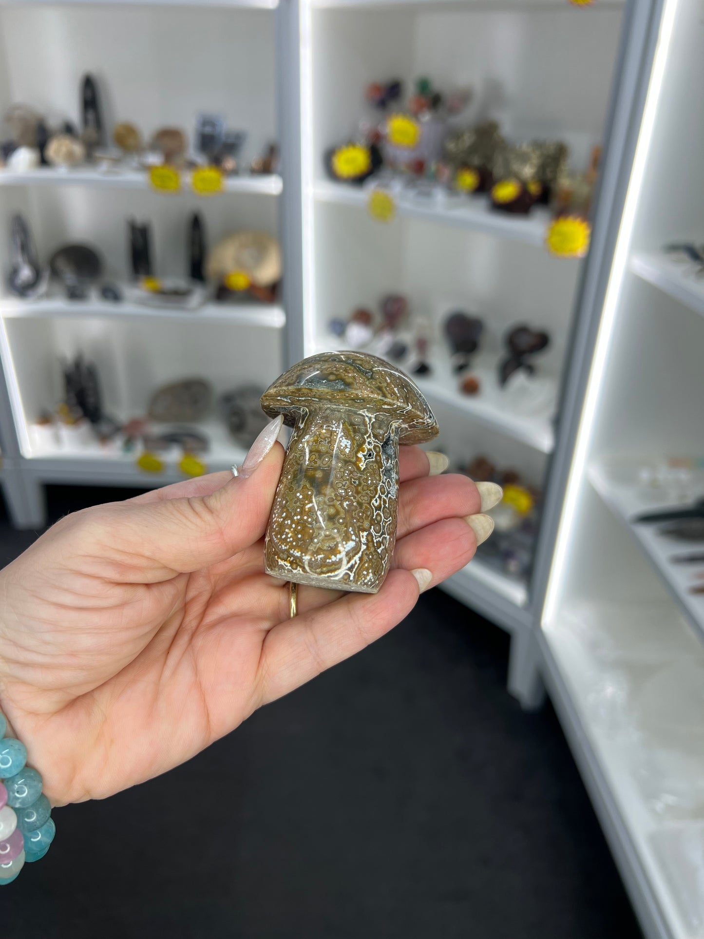 Ocean Jasper Mushroom