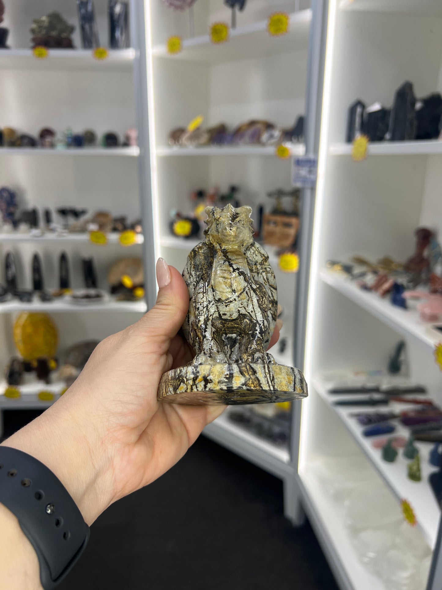 Picture Jasper Dragon