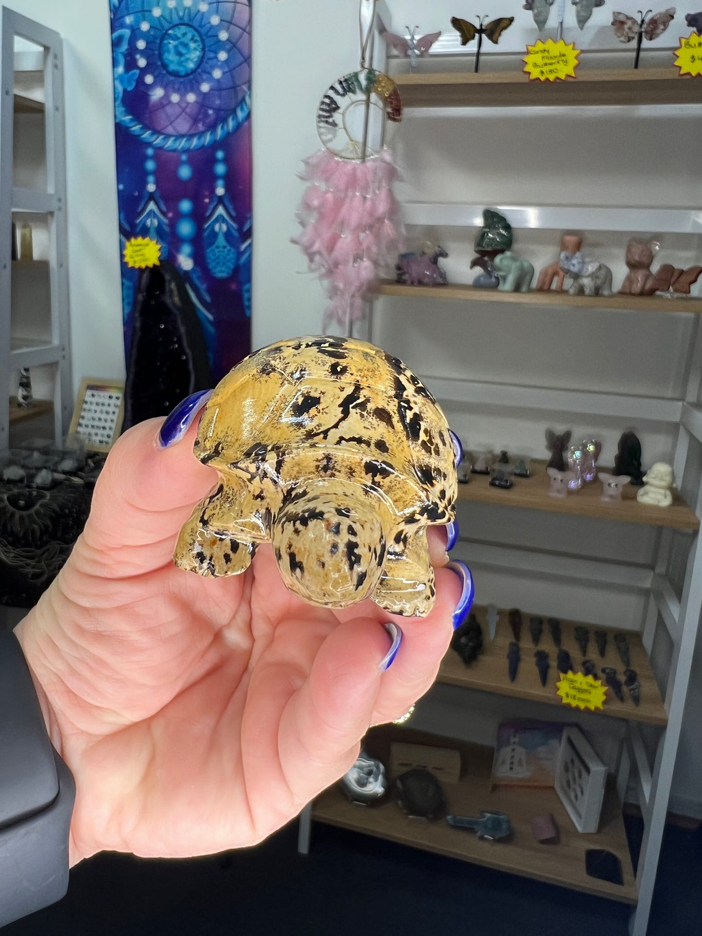 Picture Stone Jasper Turtle