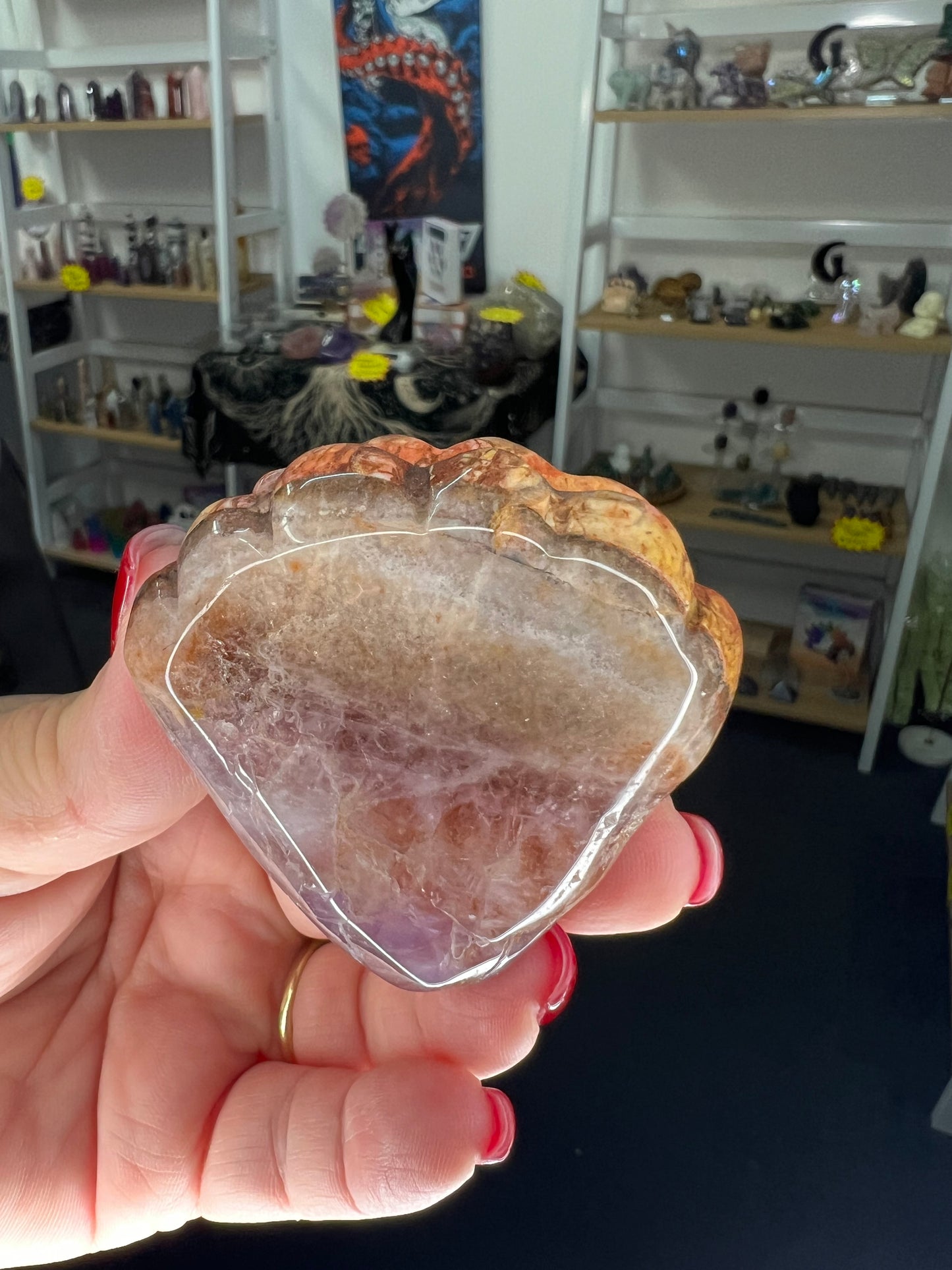 Amethyst x Mexican Lace Agate Shell