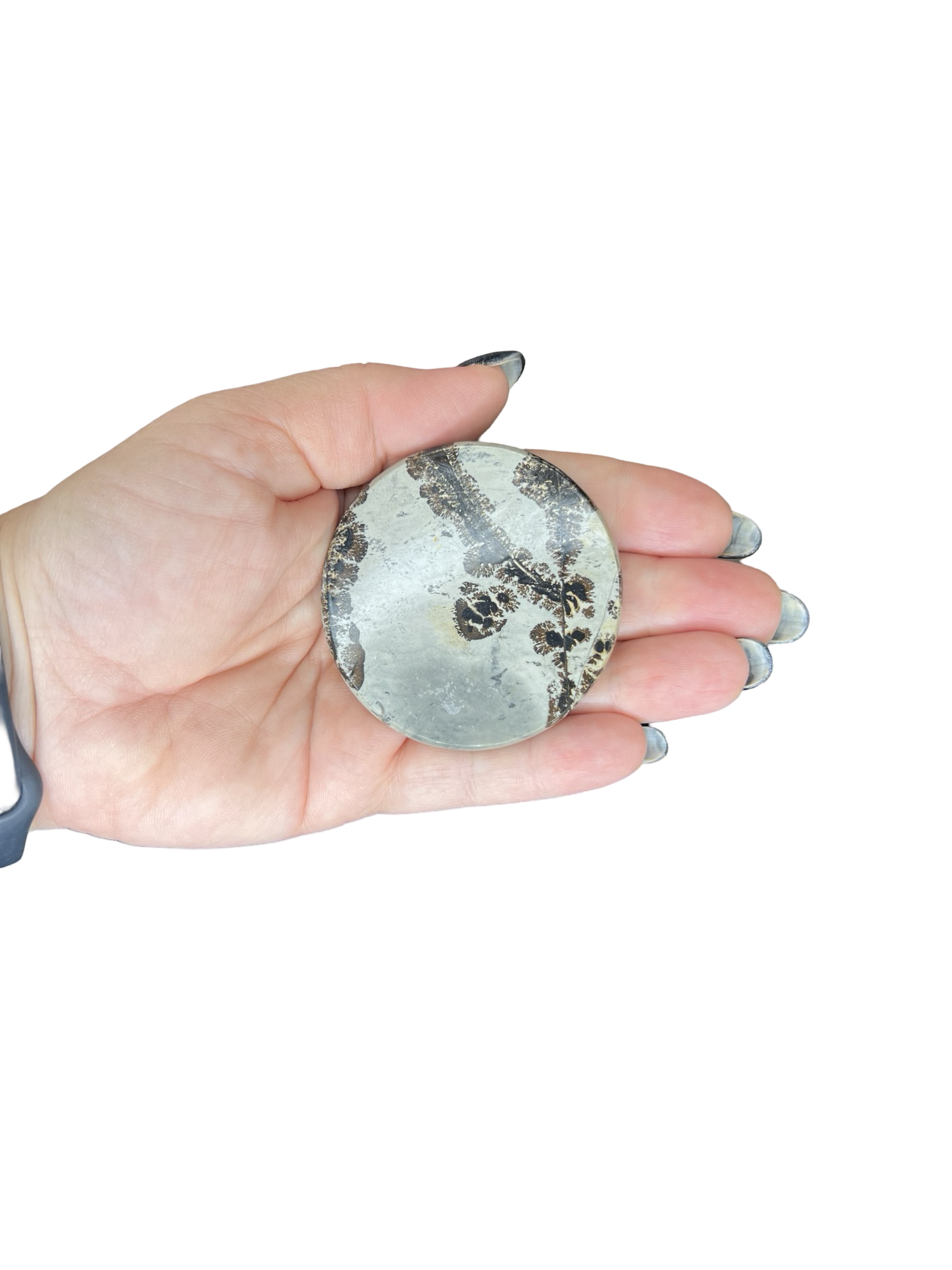 Picture Jasper Round Slab