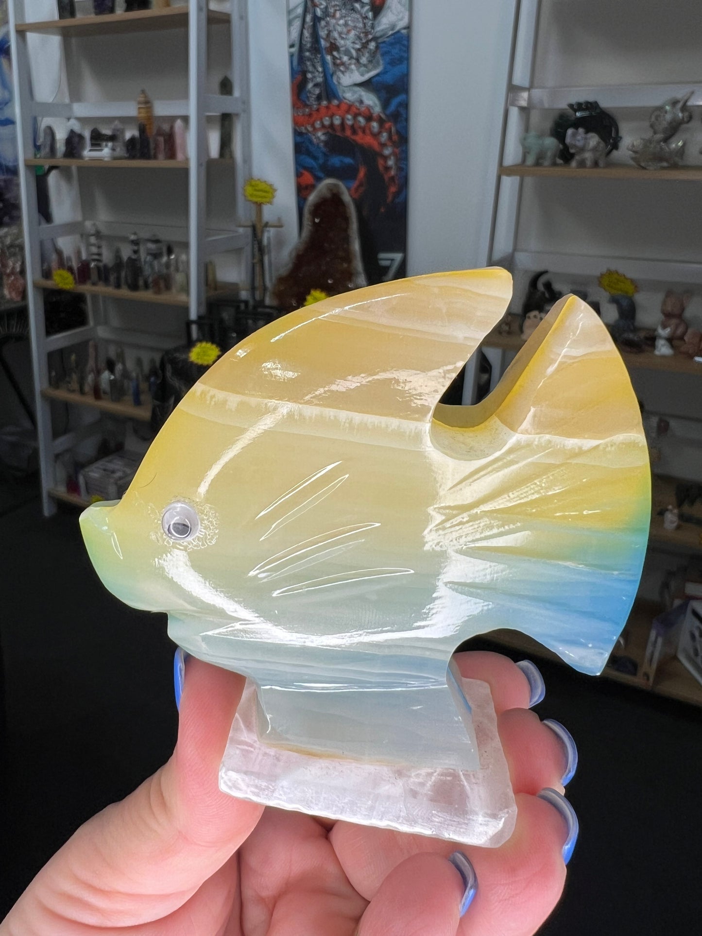 Onyx Fish