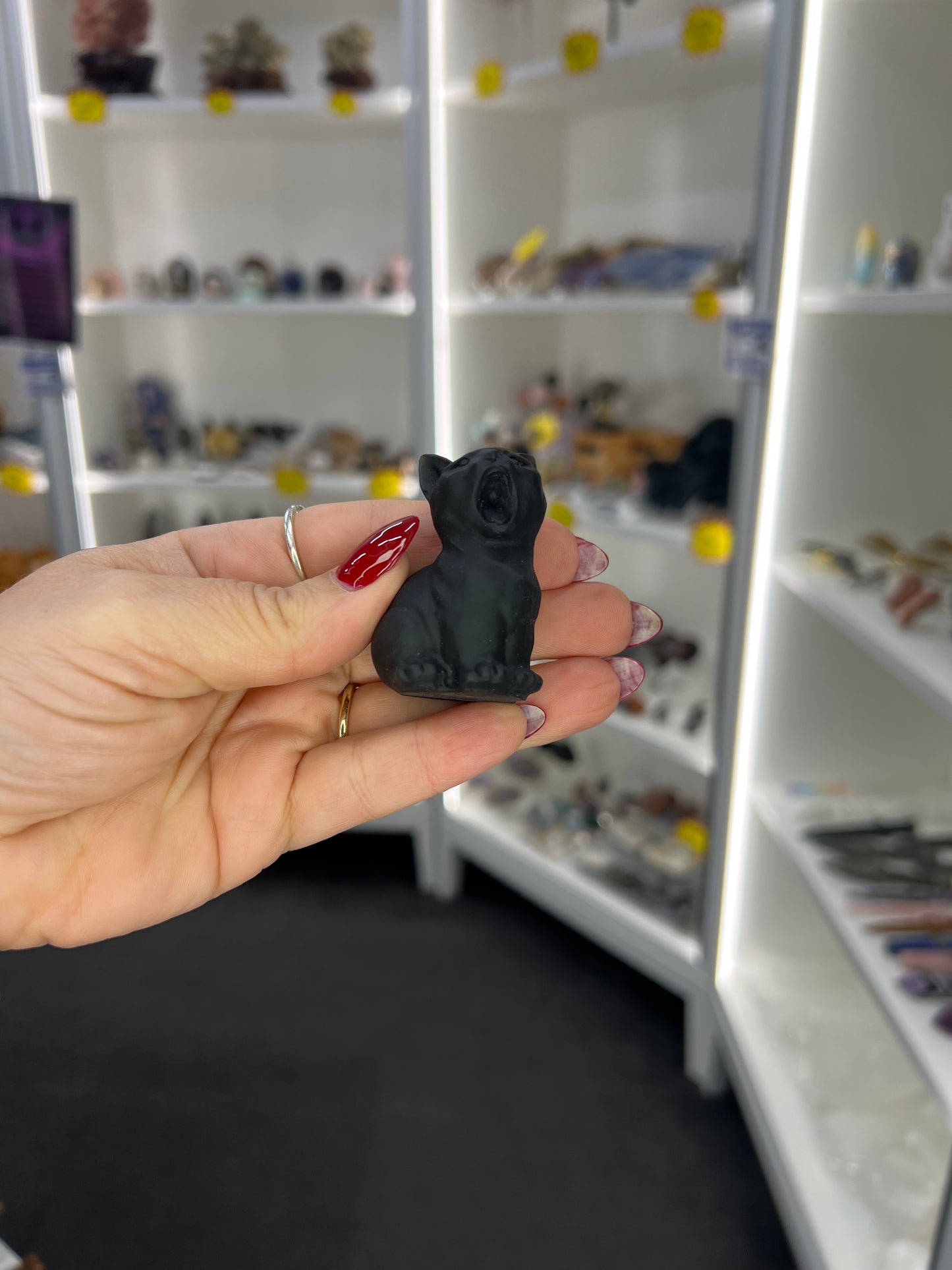 Black Obsidian Cat