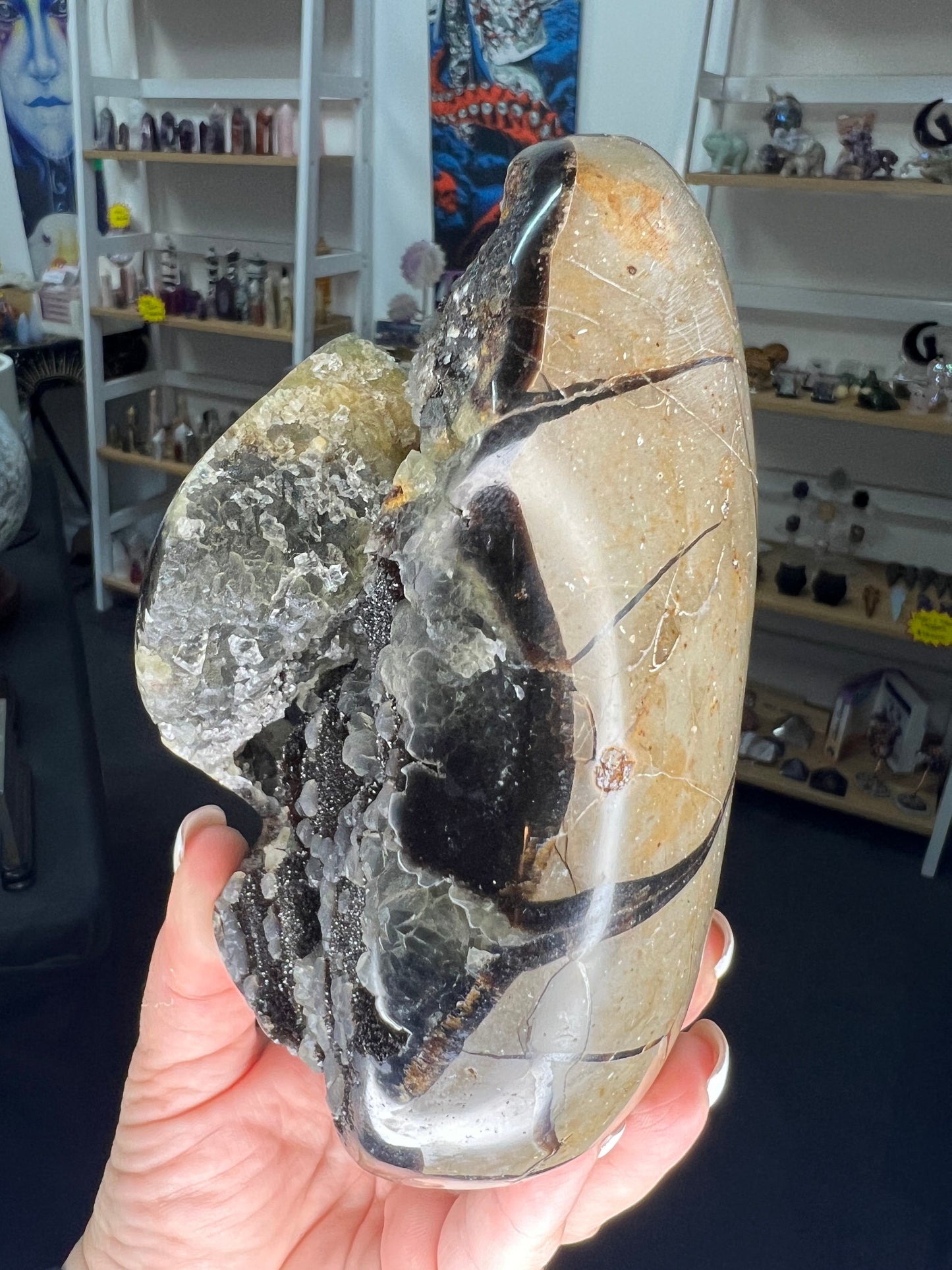 Septarian Freeform