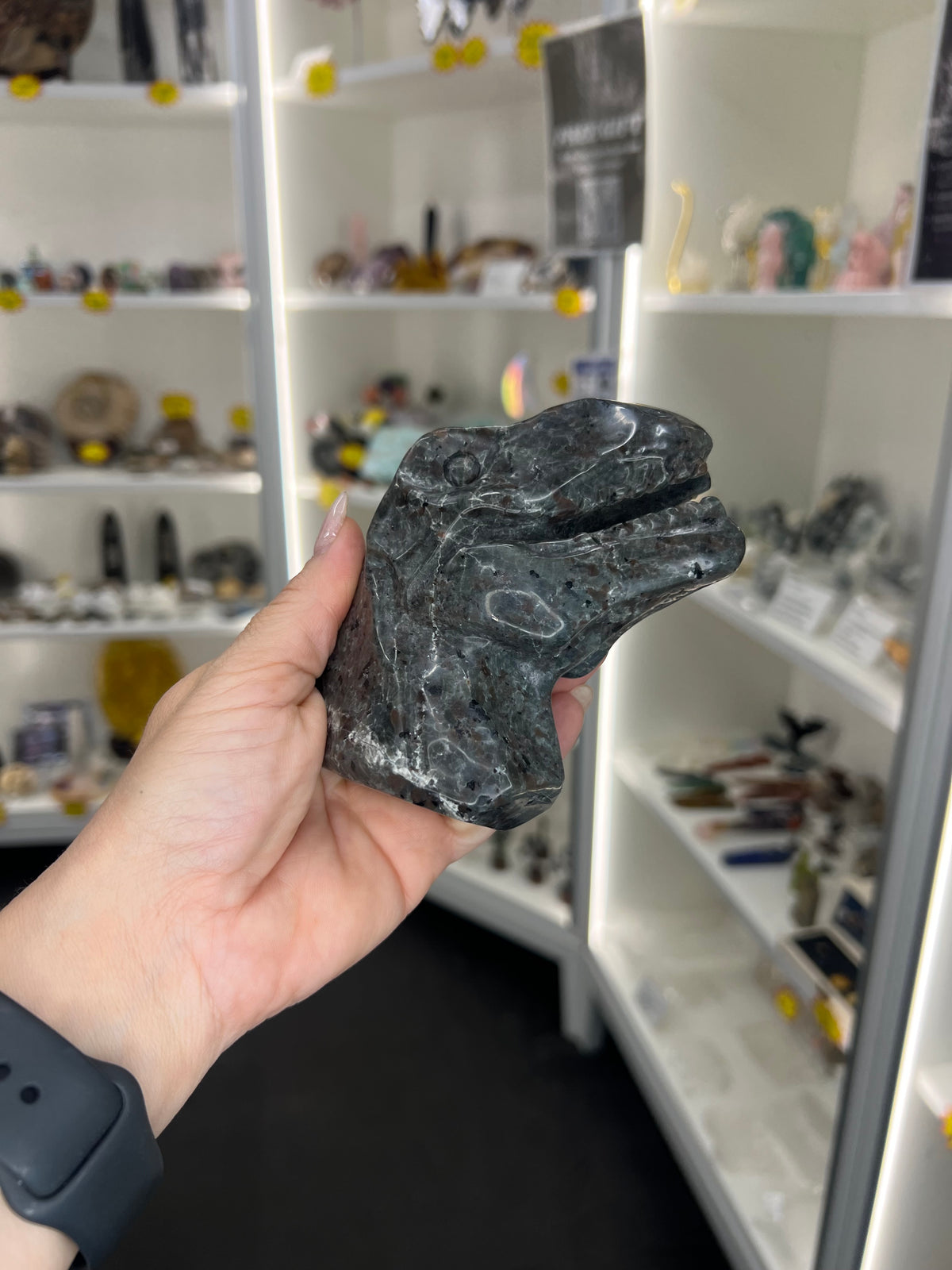 Yooperlite Dinosaur Head (UV Reactive)