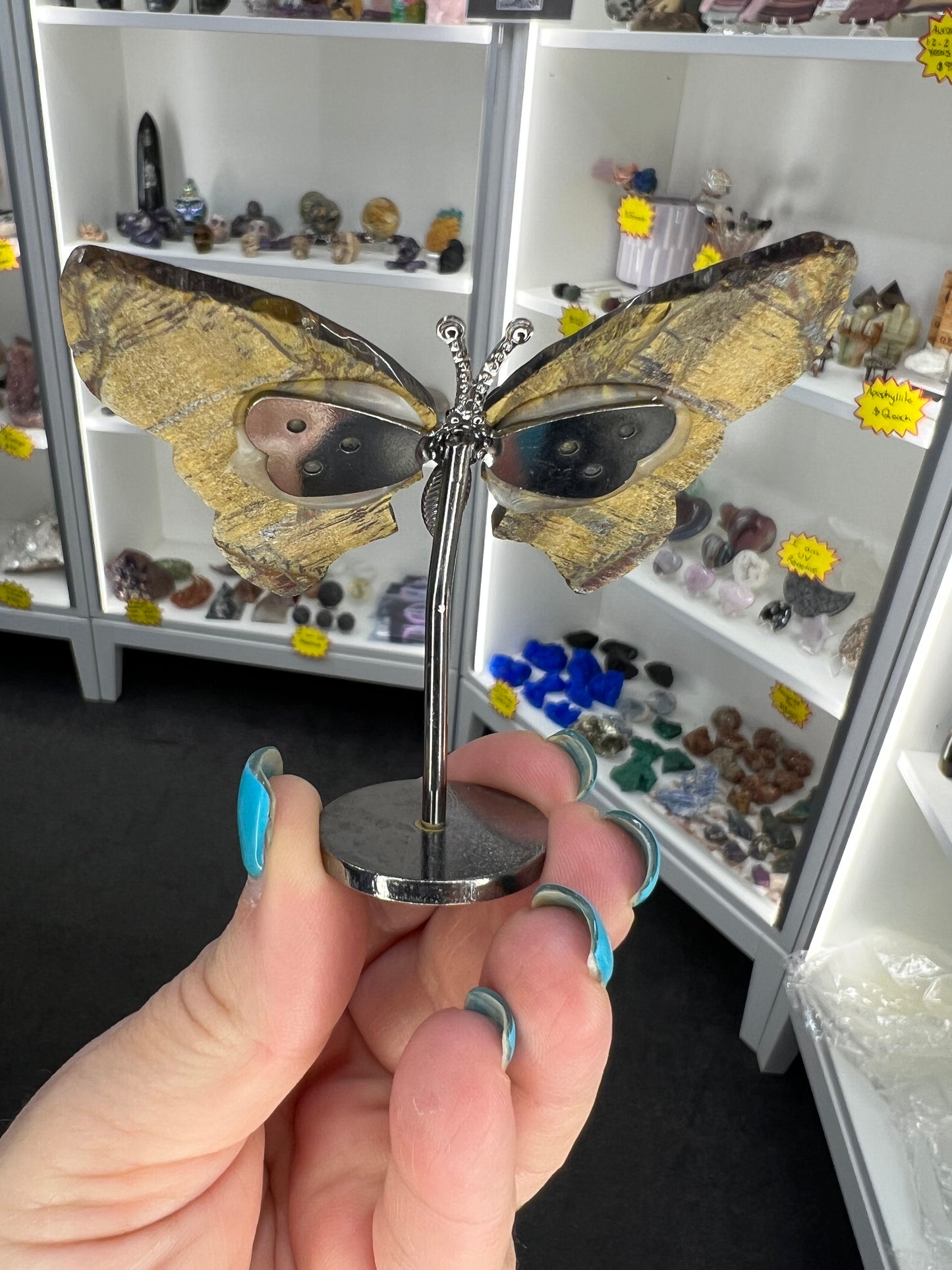 Tigers Eye Butterfly