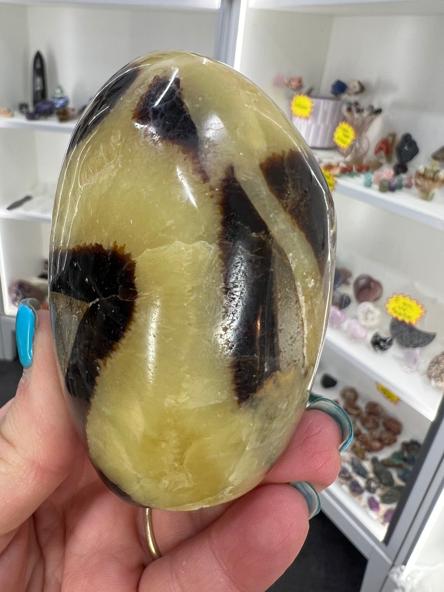 Septarian Freeform