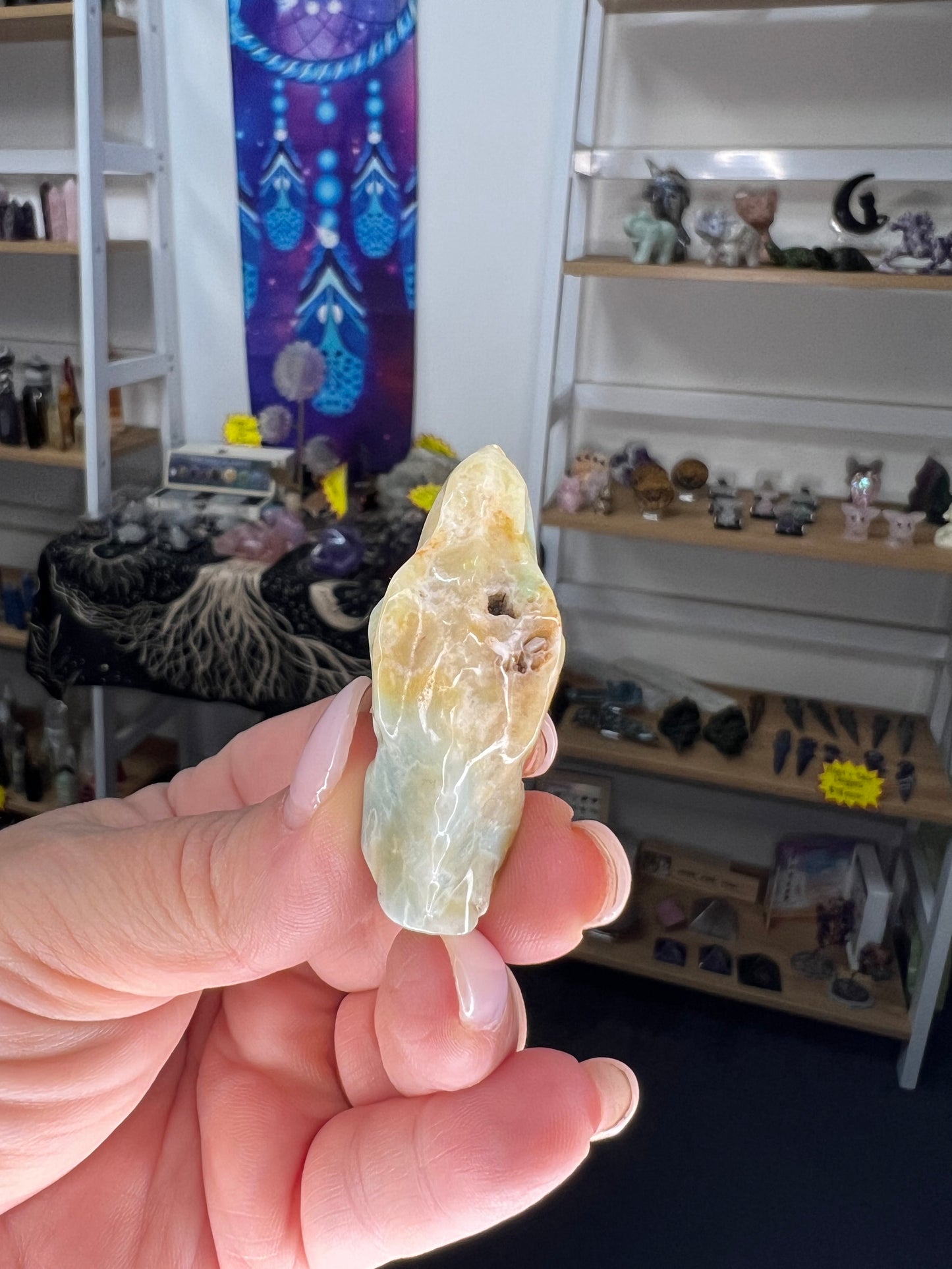 Caribbean Calcite Dinosaur Head