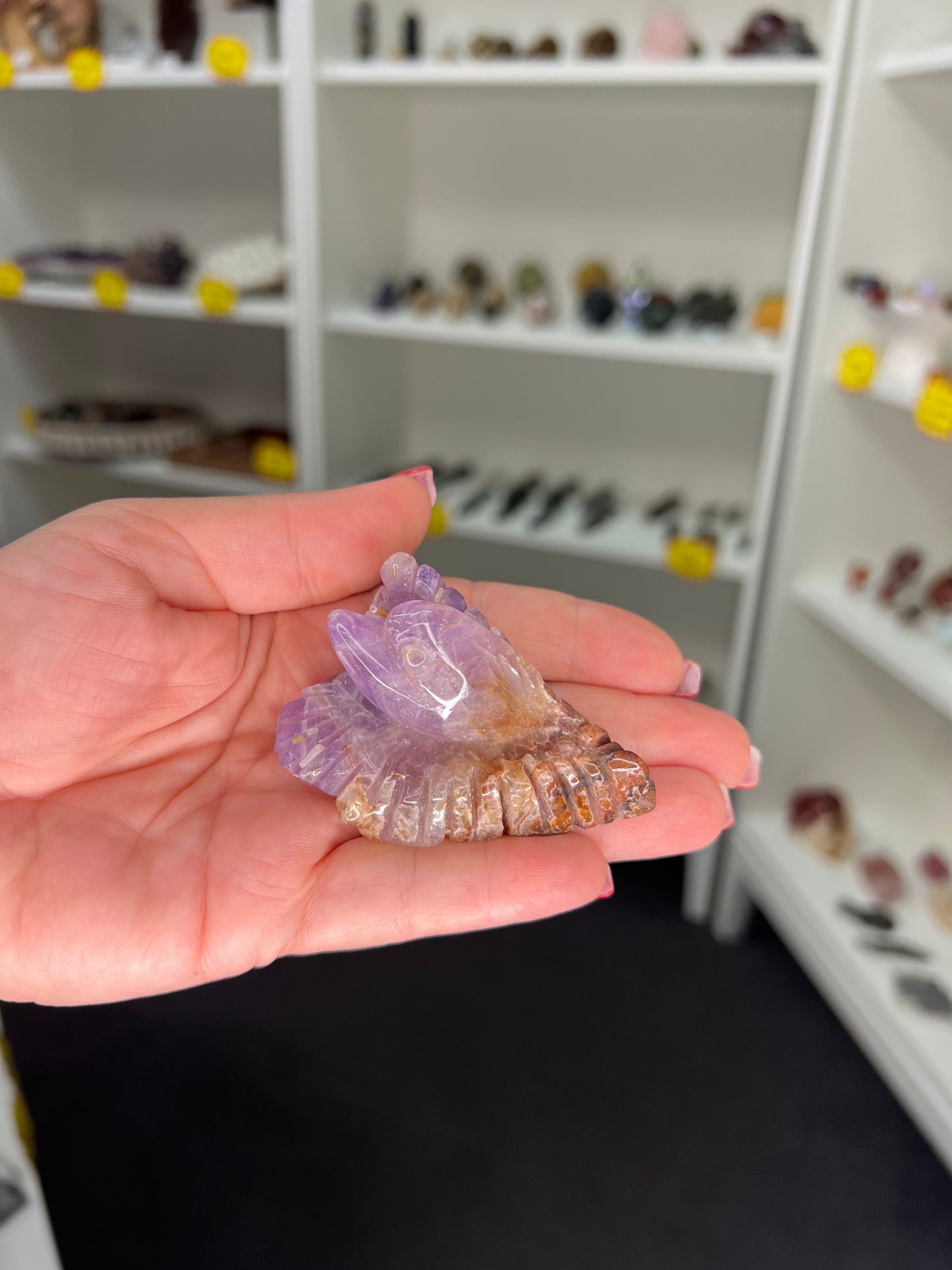 Amethyst / Crazy Lace Agate Dolphin