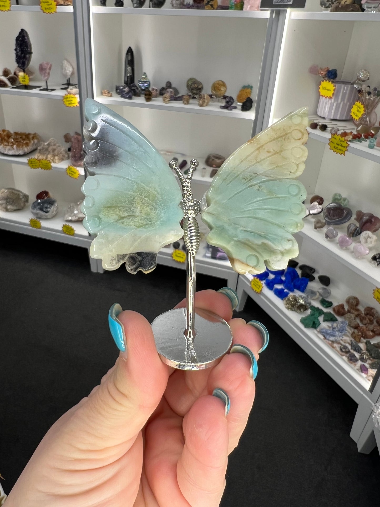 Caribbean Calcite Butterfly
