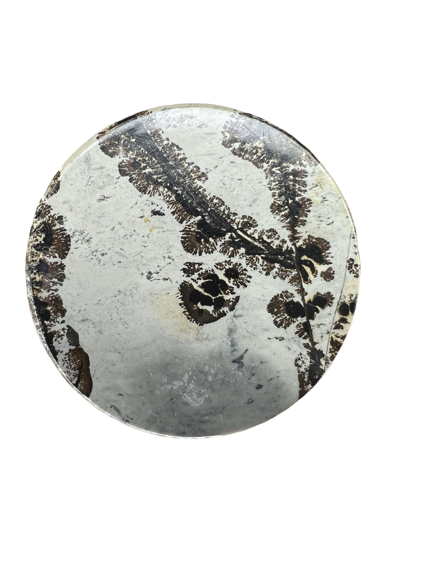 Picture Jasper Round Slab