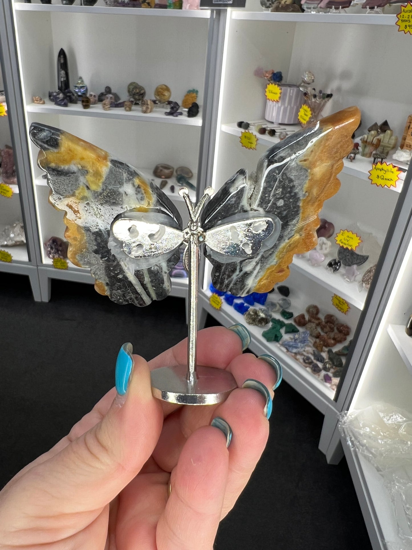 Caribbean Calcite Butterfly