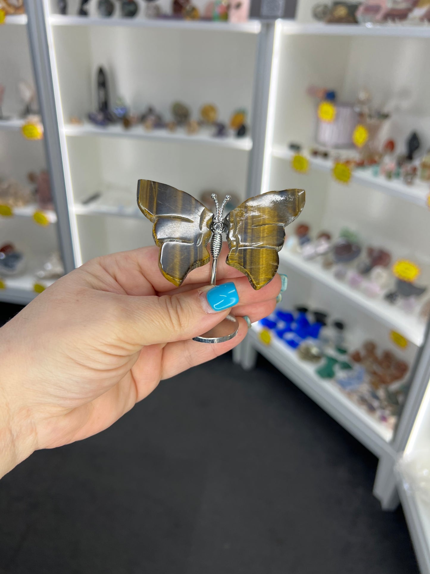 Tigers Eye Butterfly