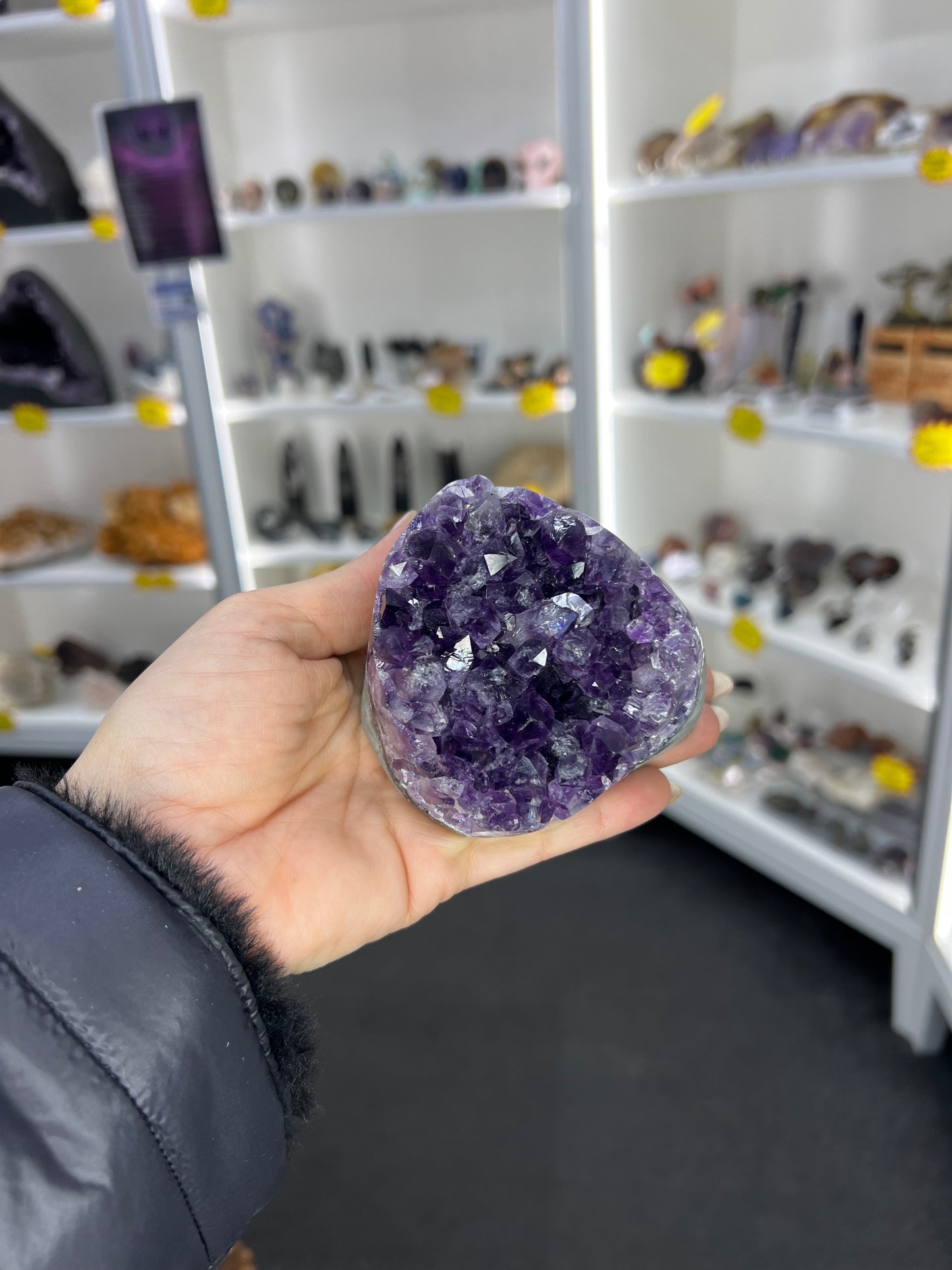 Amethyst Cluster Specimen