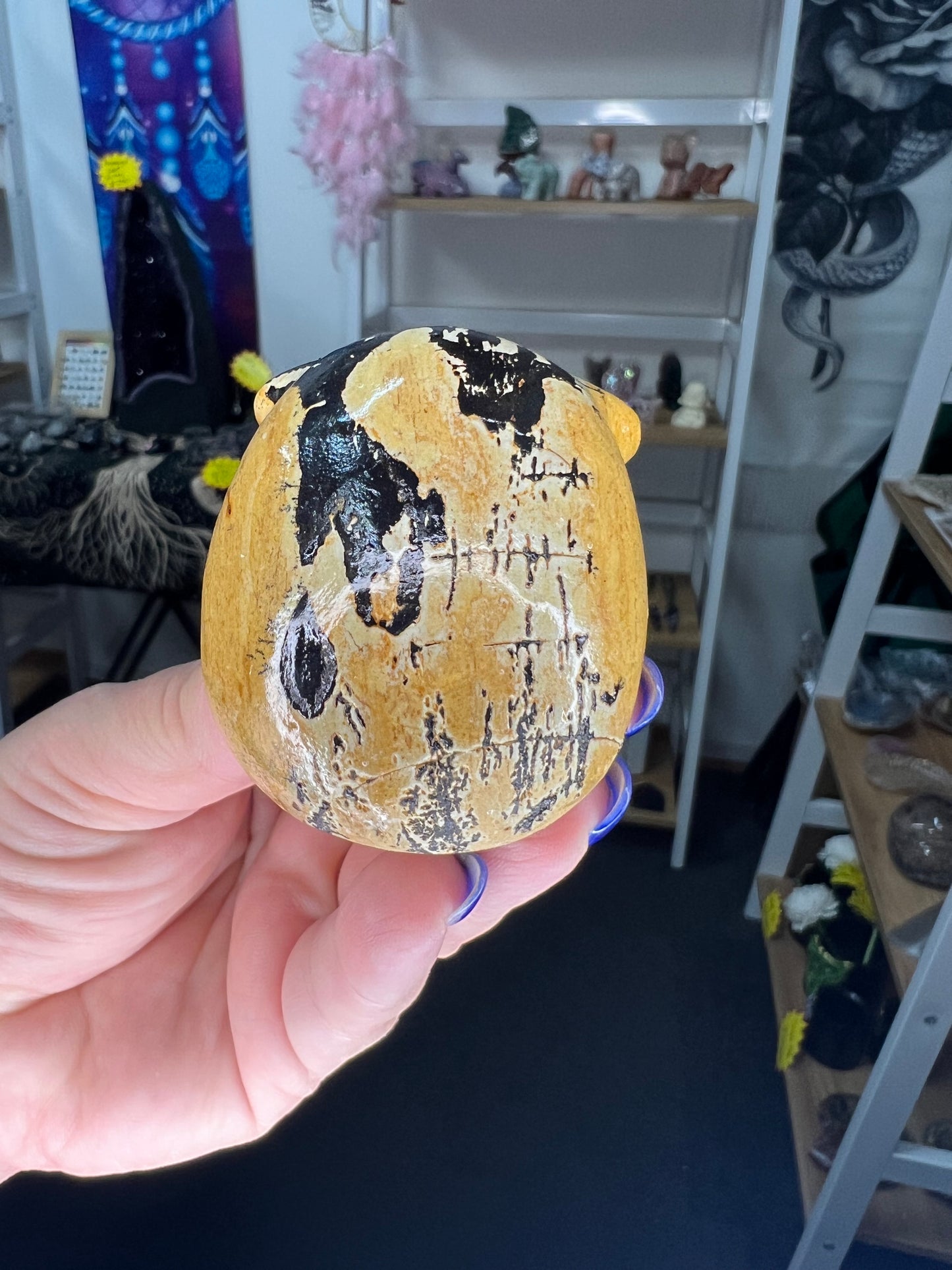 Picture Stone Jasper Skull