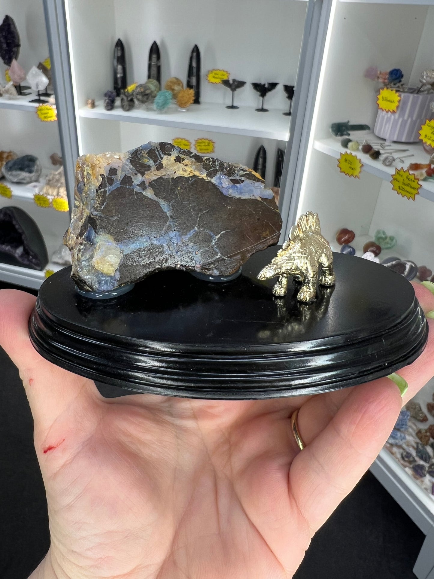 Boulder Opal with Dinosaur
