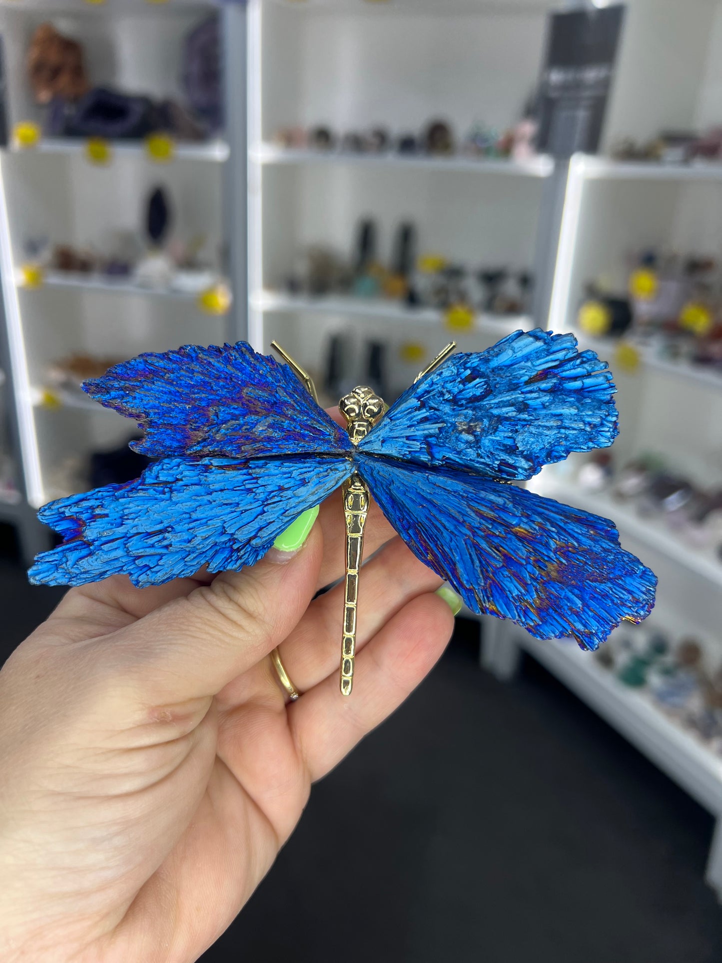 Aura Kyanite Dragonfly