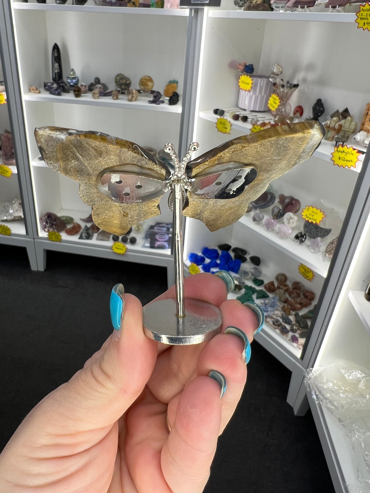Tigers Eye Butterfly