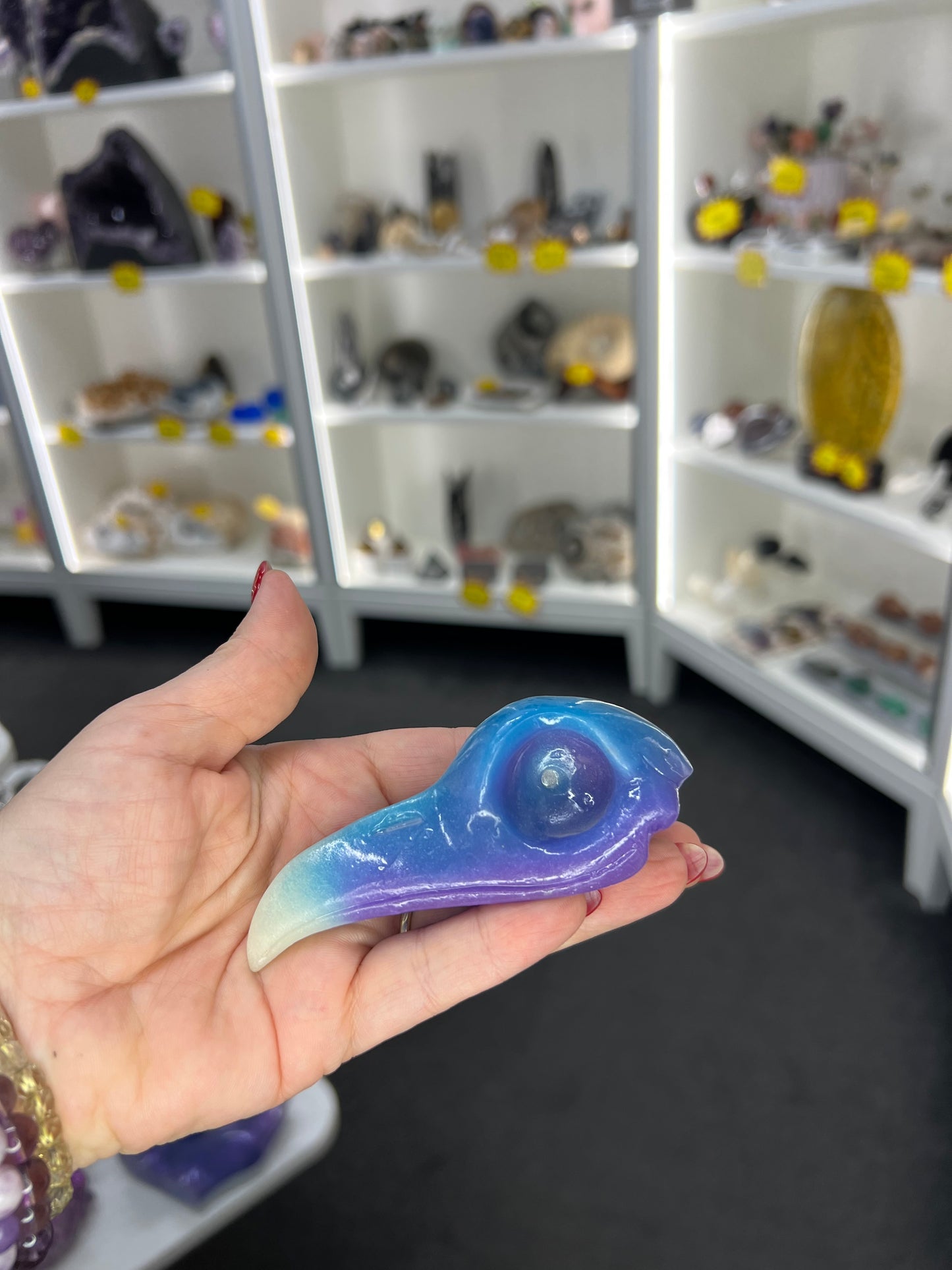 Luminous Crow Skull (Glow in the Dark)