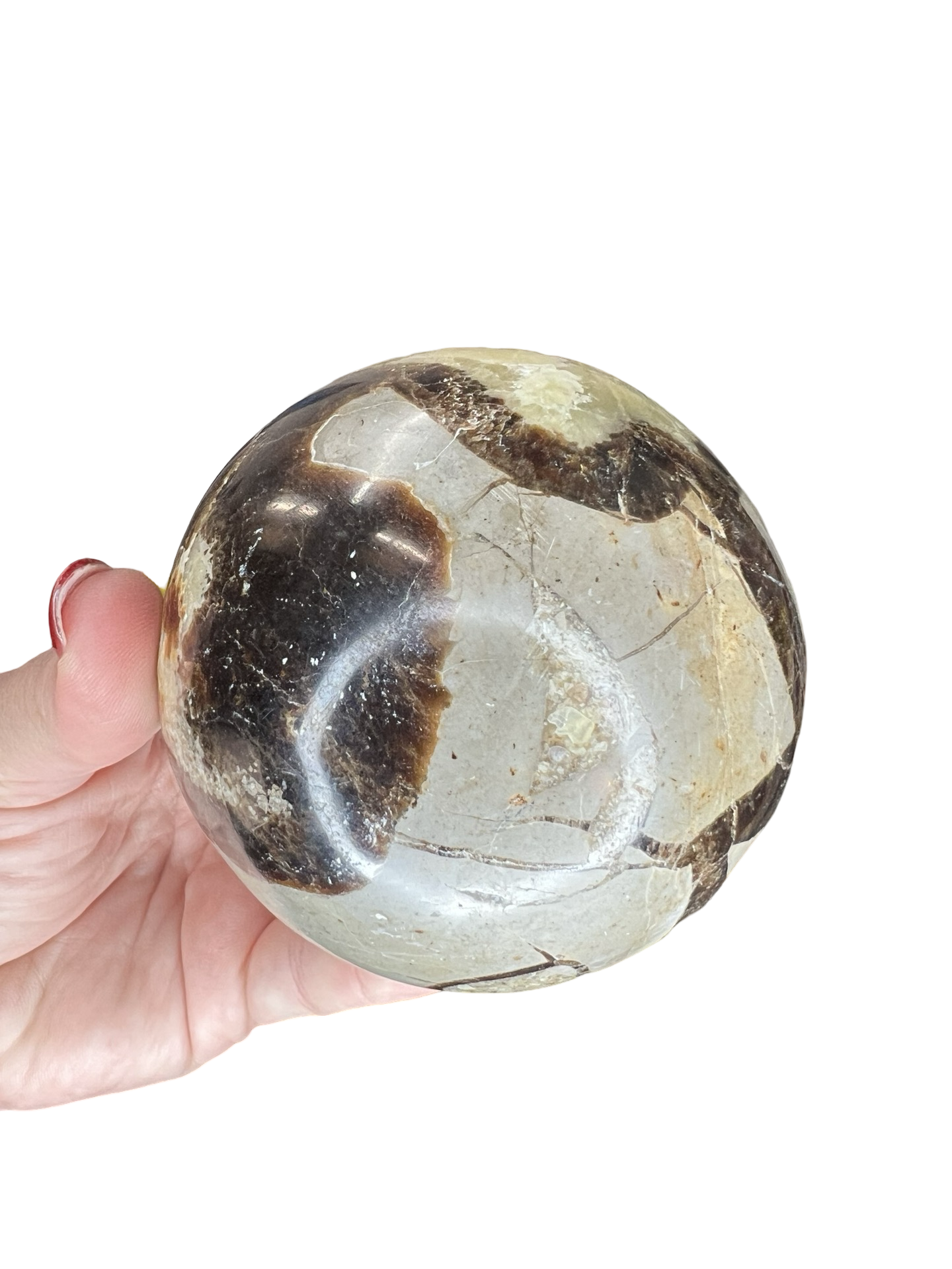 Septarian Sphere with Stand
