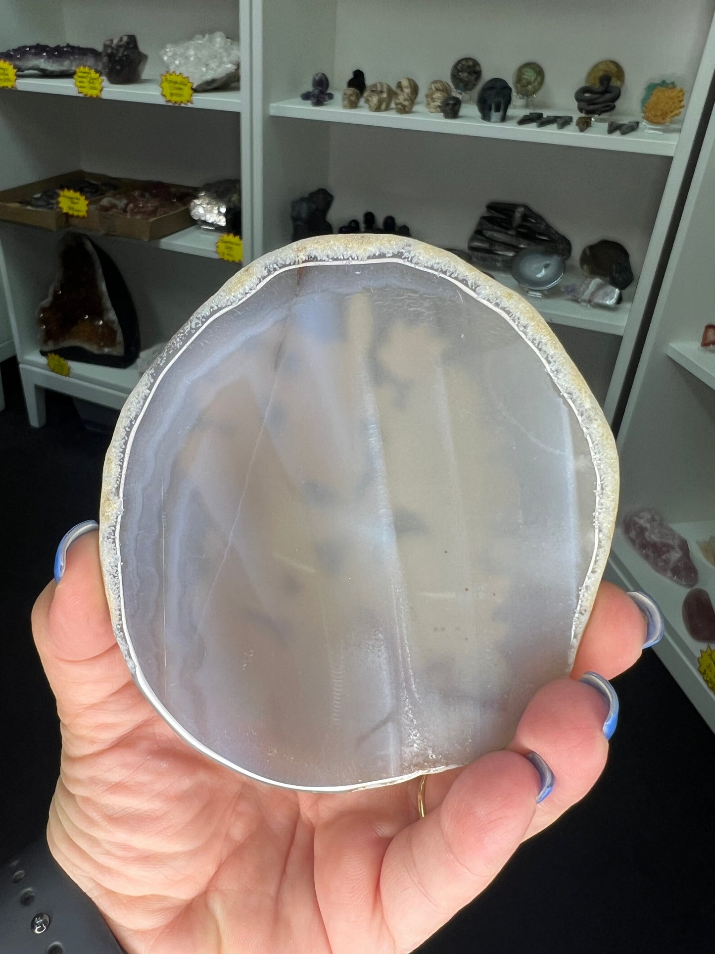 Agate Slice with Pokemon Print