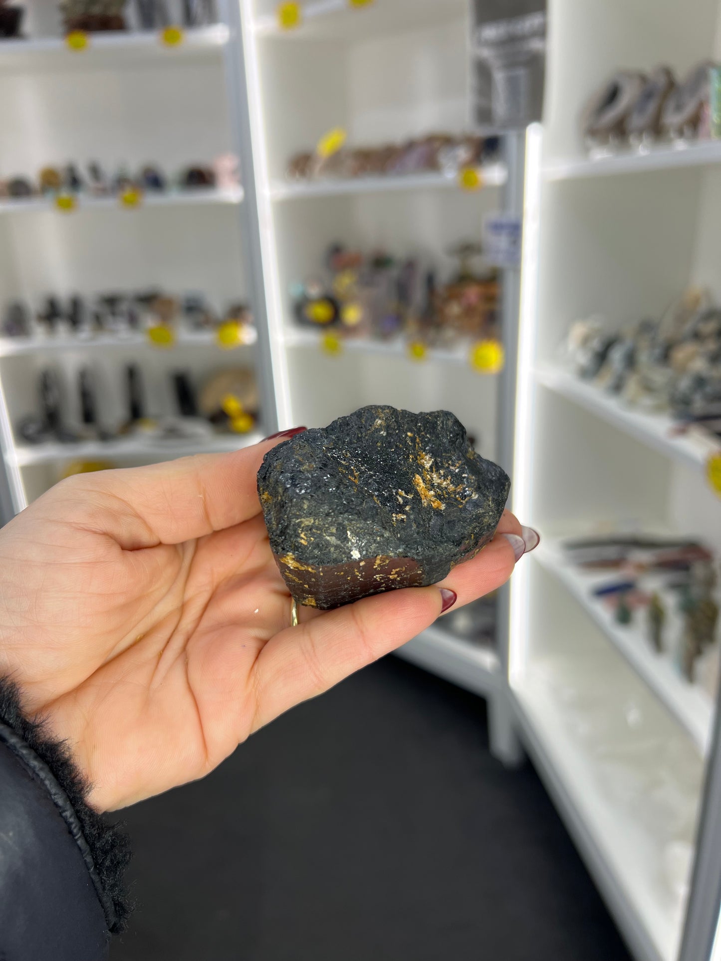 Black Tourmaline with Golden Mica Specimen