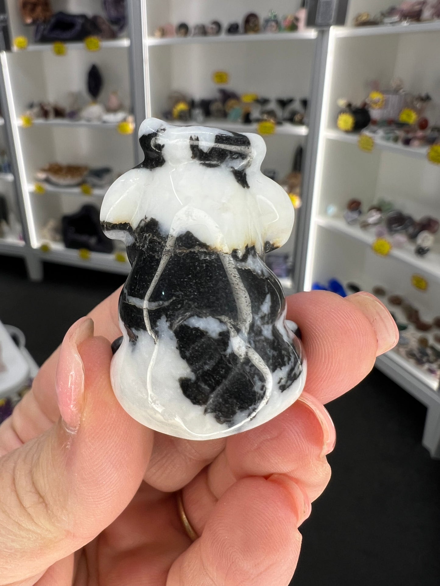 Zebra Jasper Cow