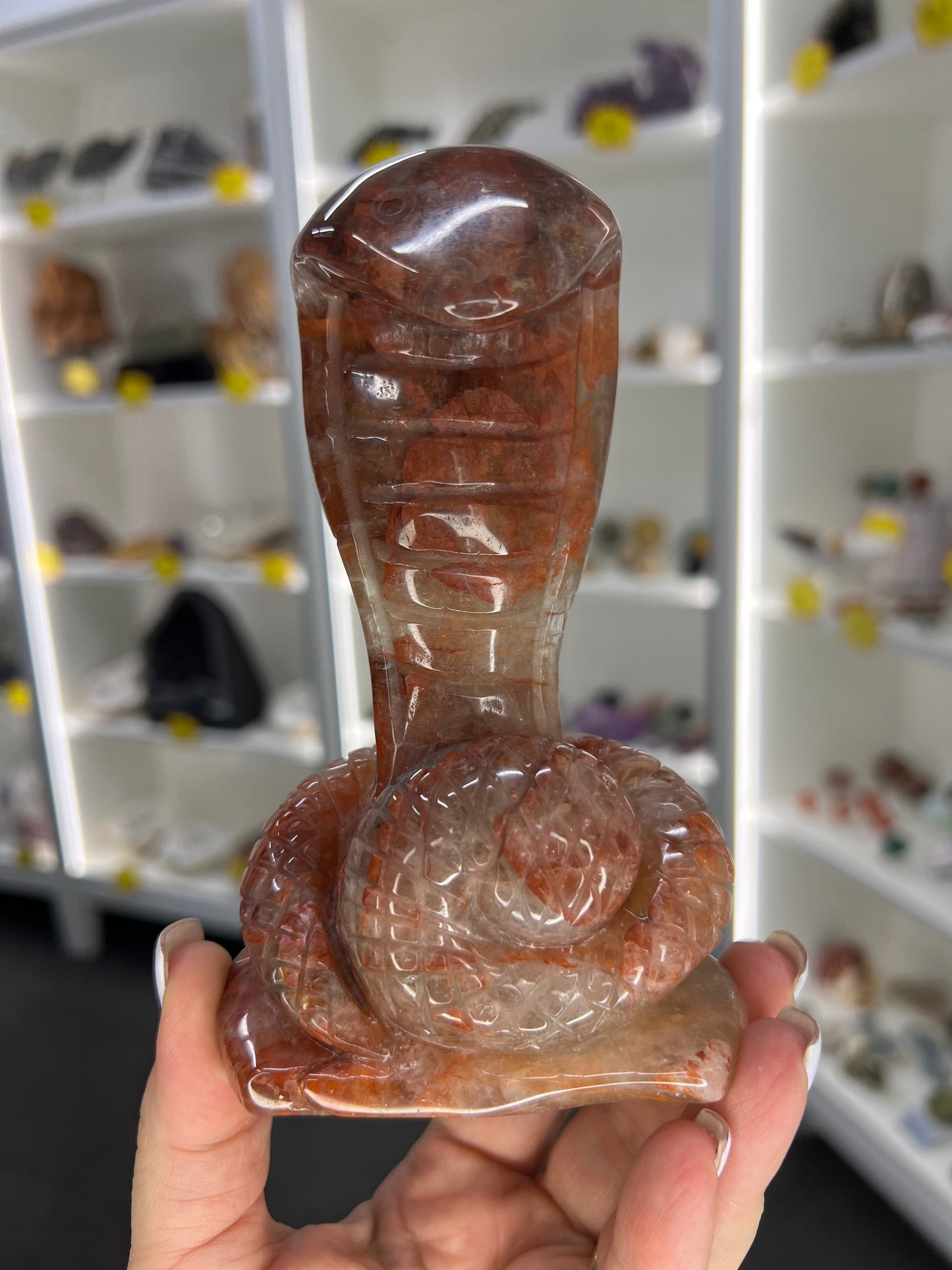 Fire Quartz Cobra / Snake
