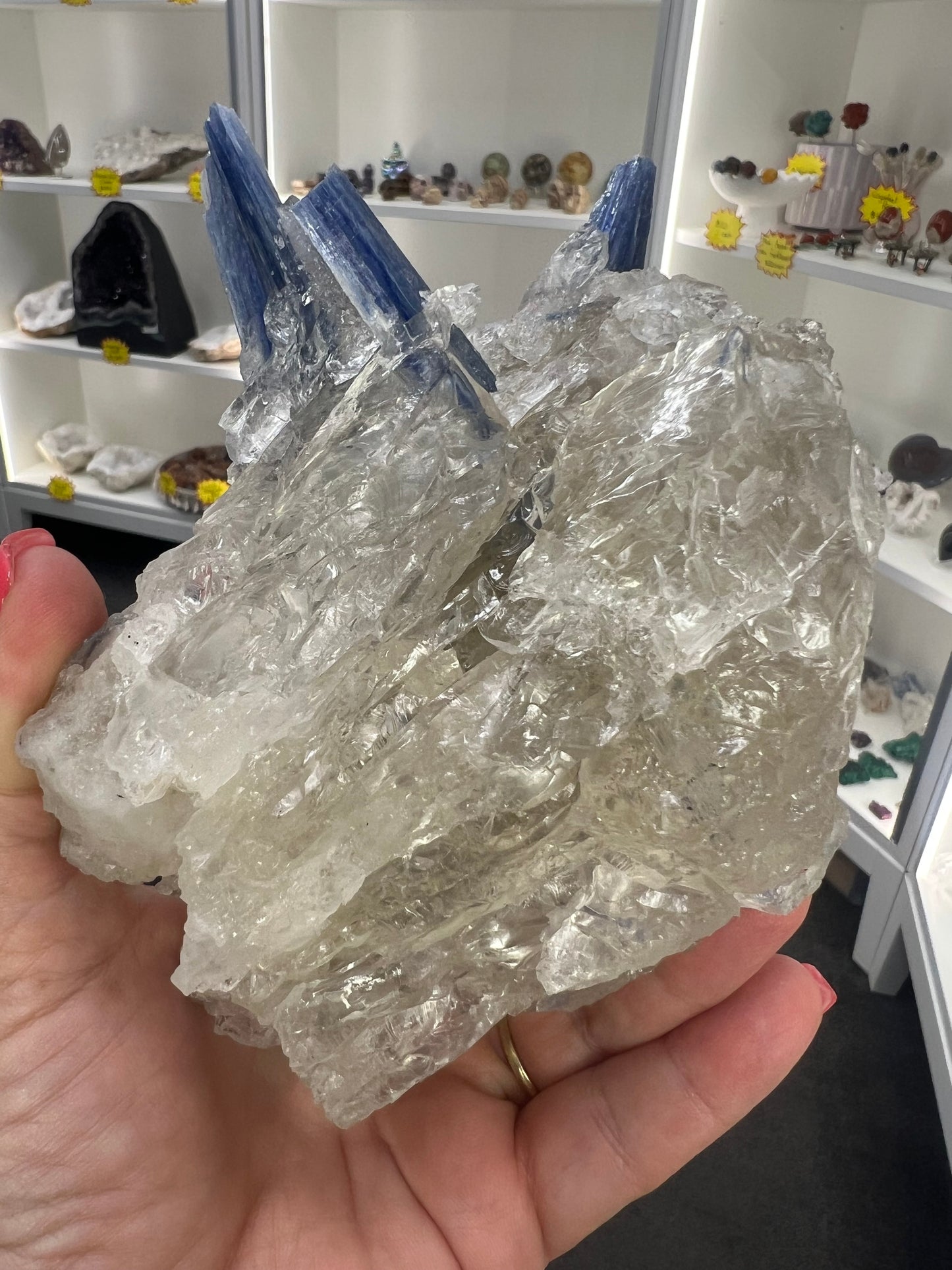 Blue Kyanite x Clear Quartz Specimen