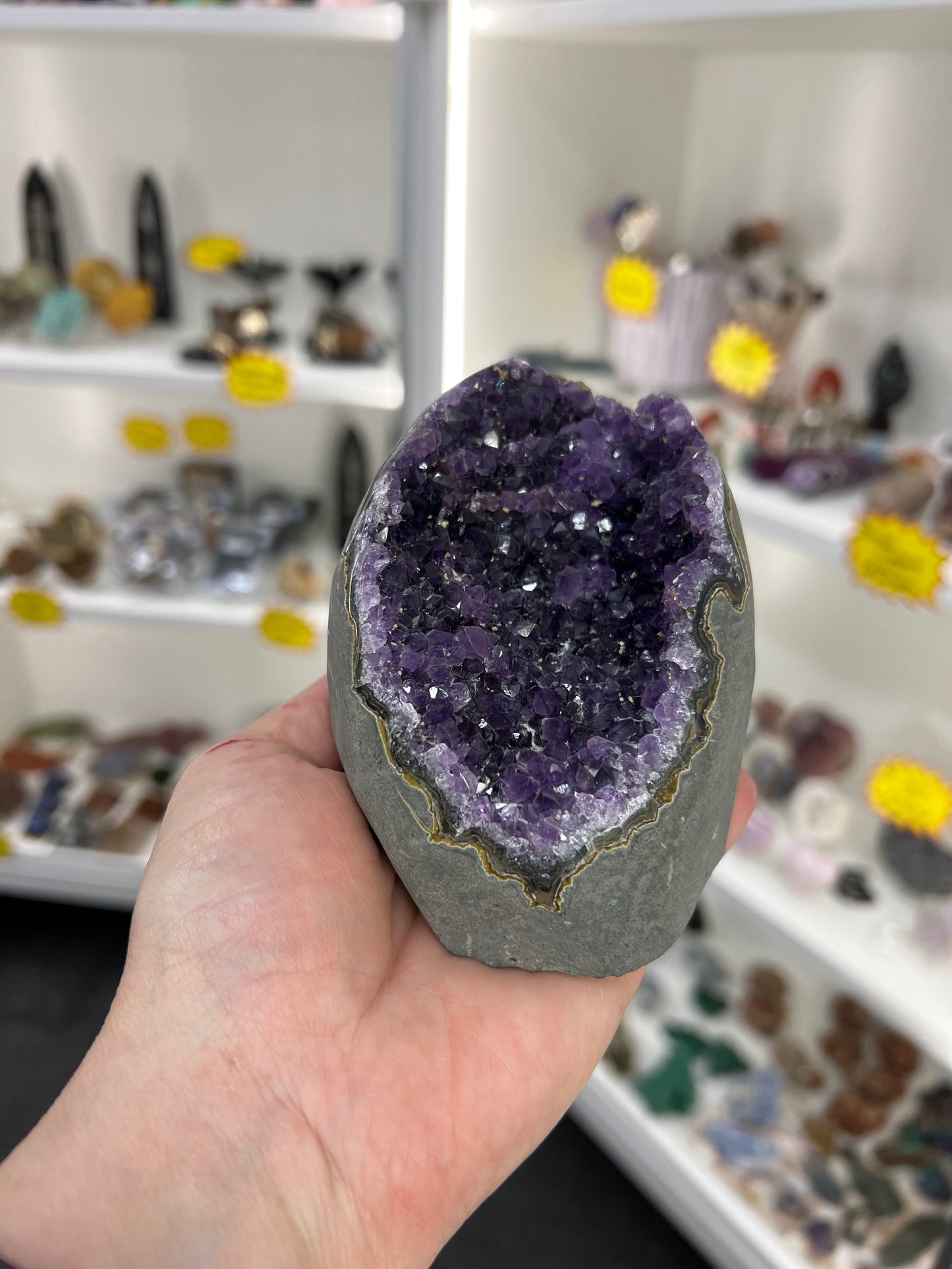 Amethyst Cluster