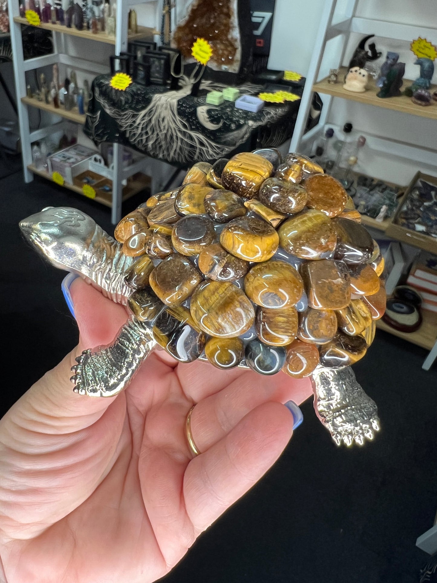 Tiger Eye Turtle