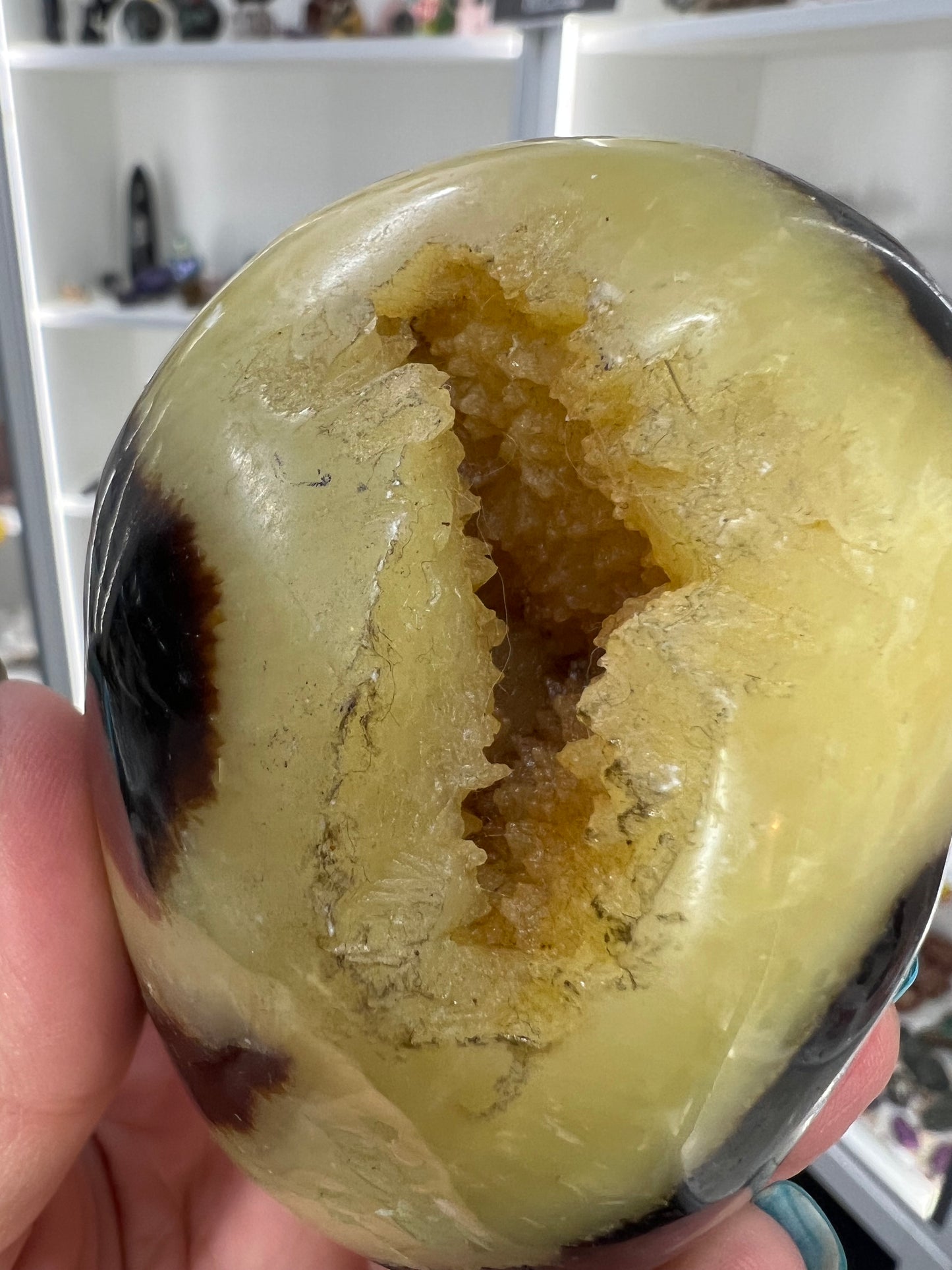 Septarian Freeform