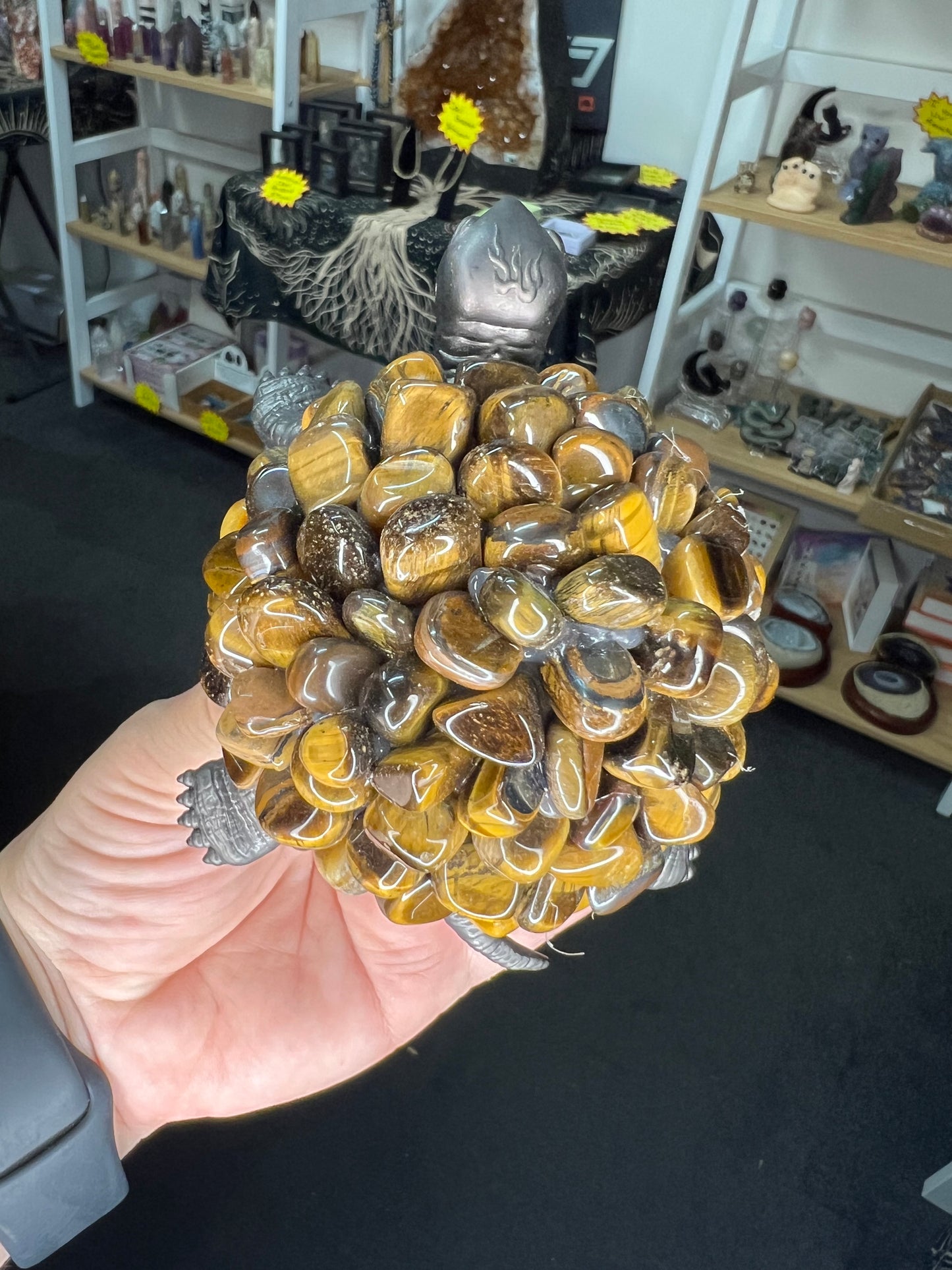 Tiger Eye Turtle