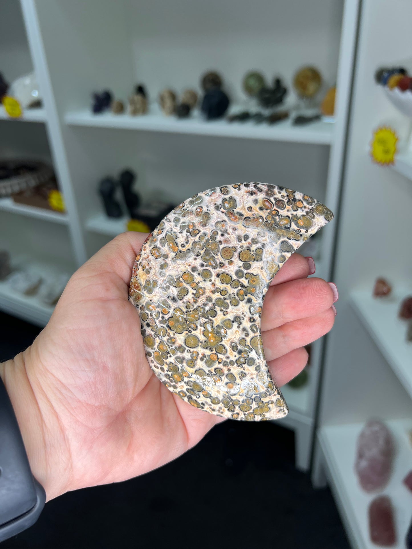 Leopardskin Jasper Moon