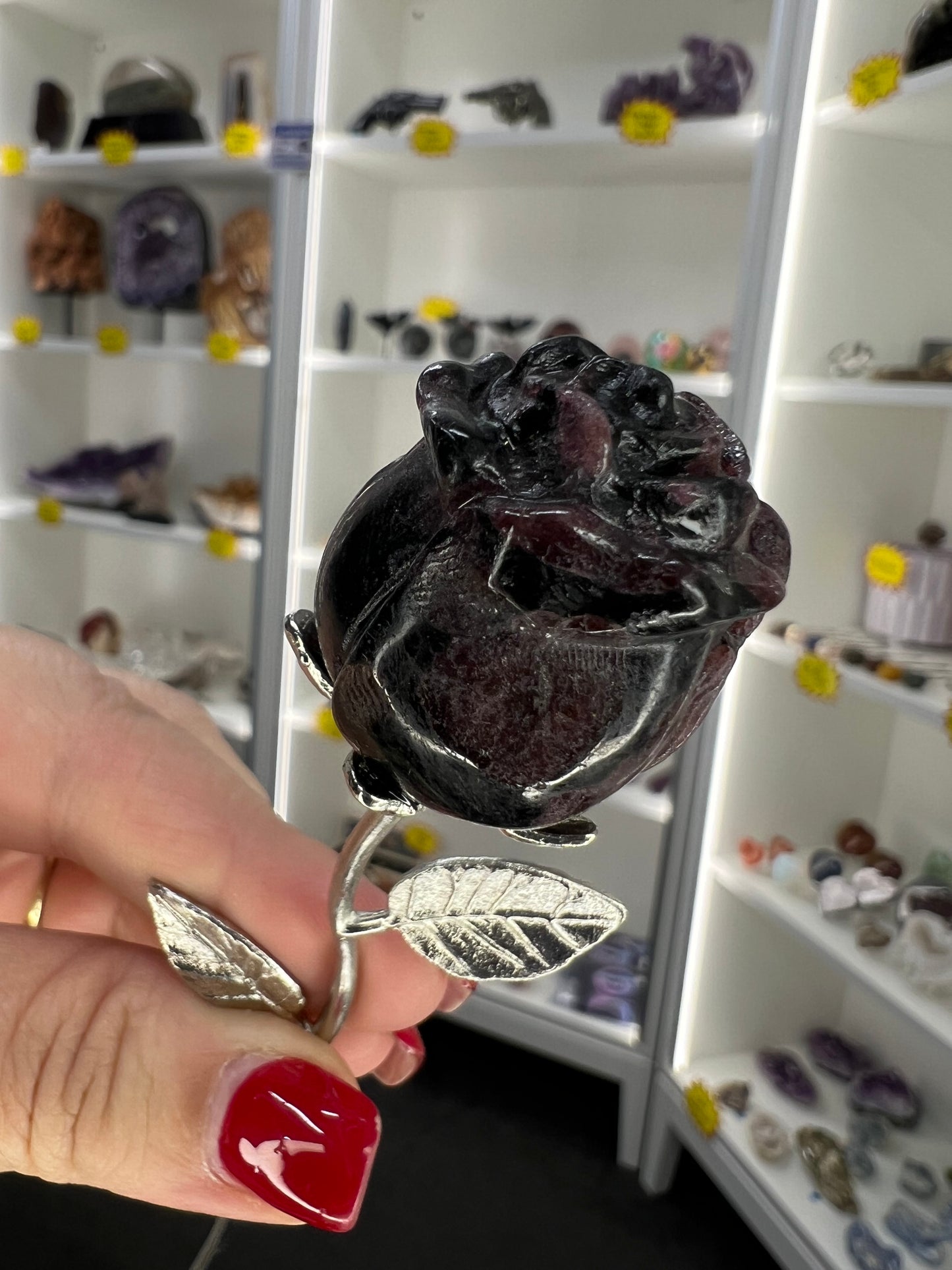 Astrophyllite Garnet Forever Rose