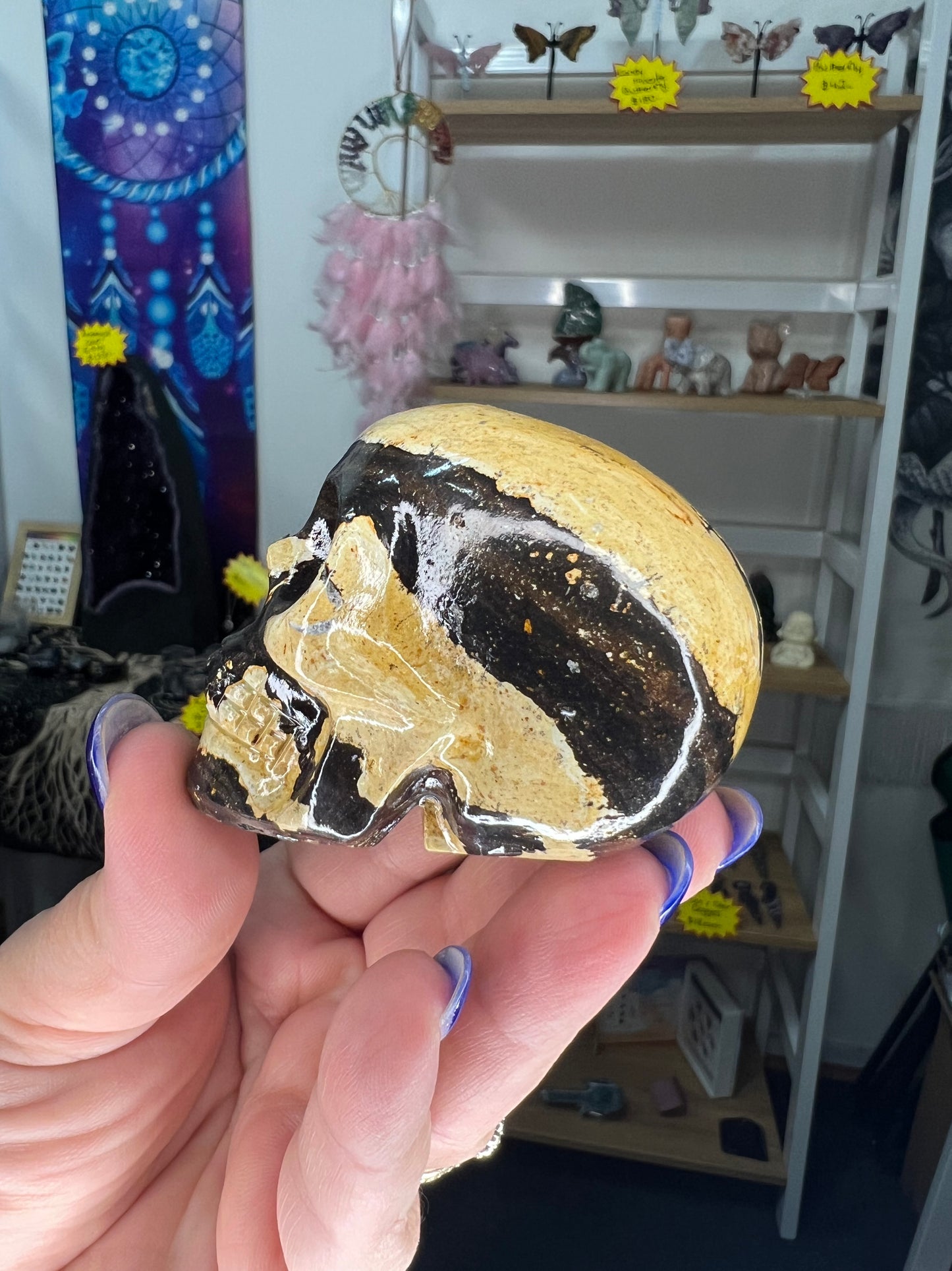 Picture Stone Jasper Skull