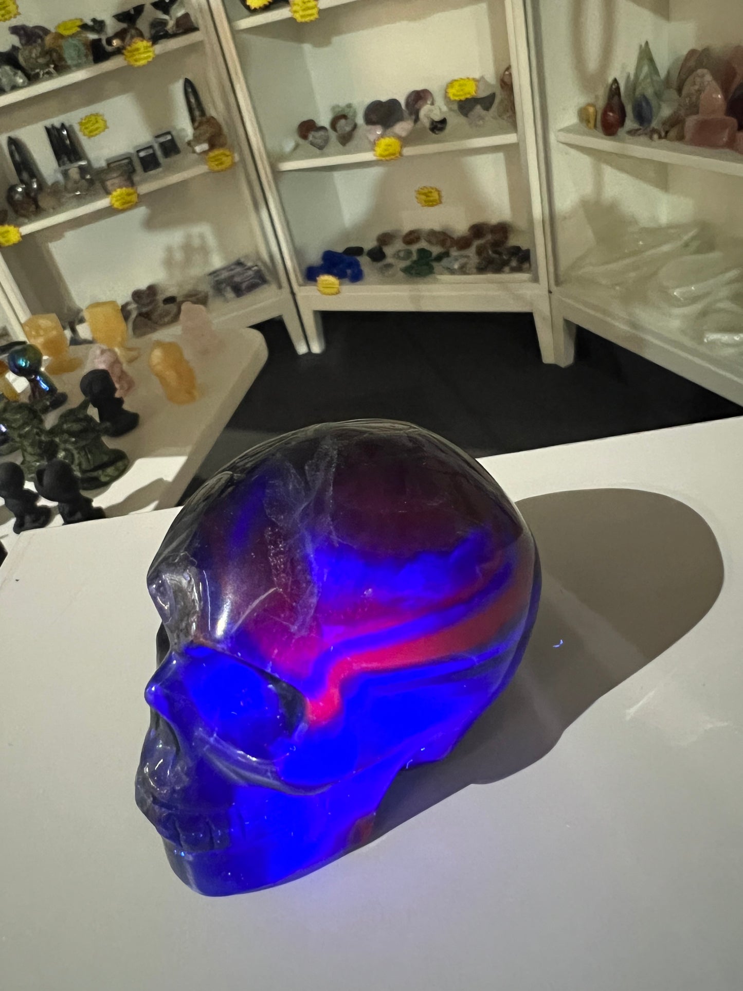 Black Fluorite Skull (UV Reactive)