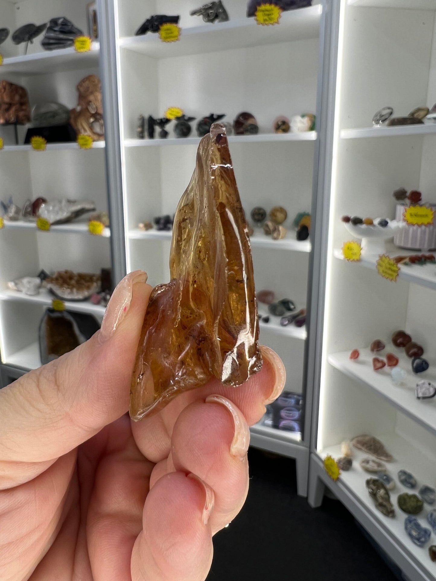 Amber Pack