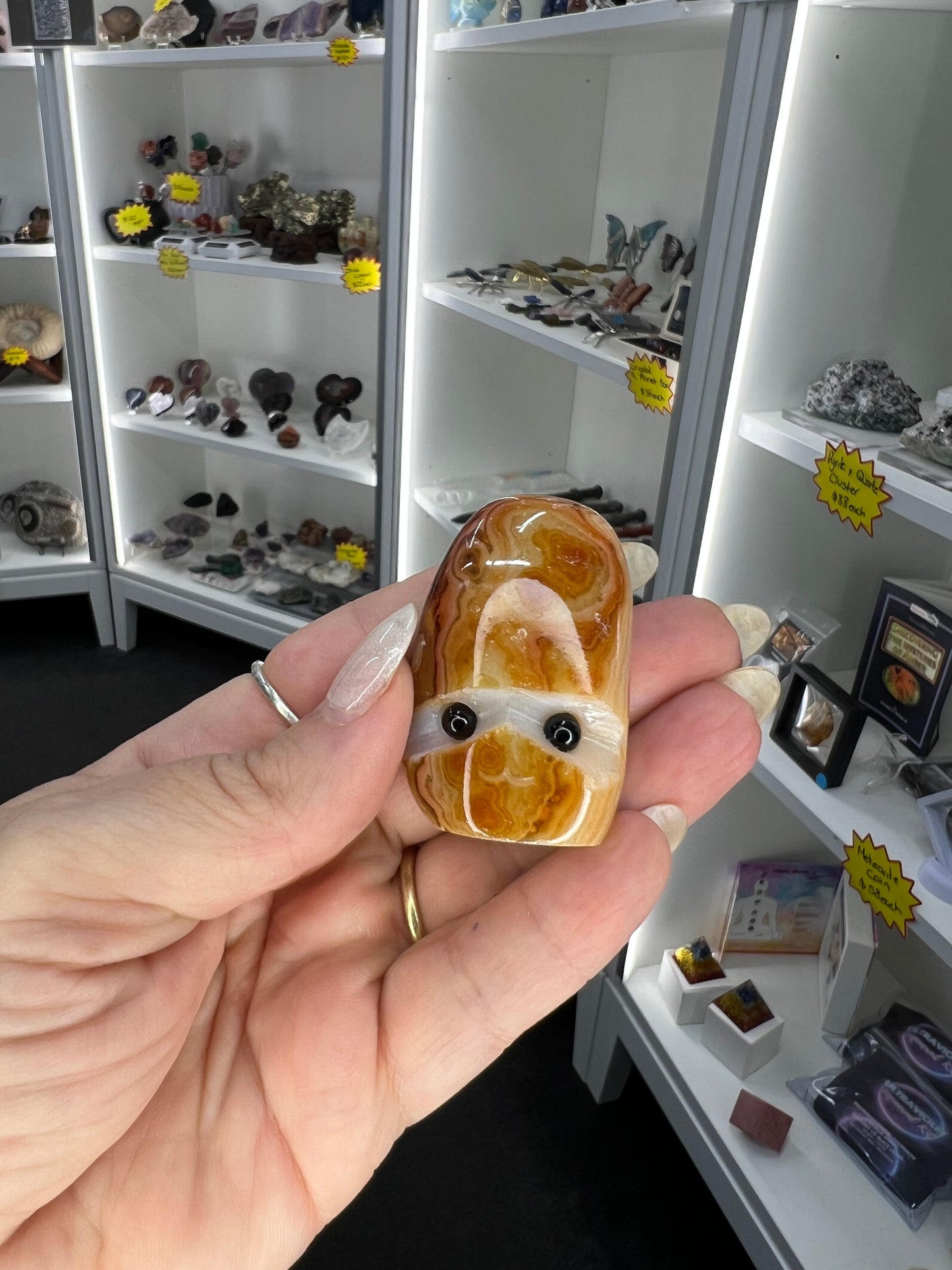 Sardonyx Little Guy