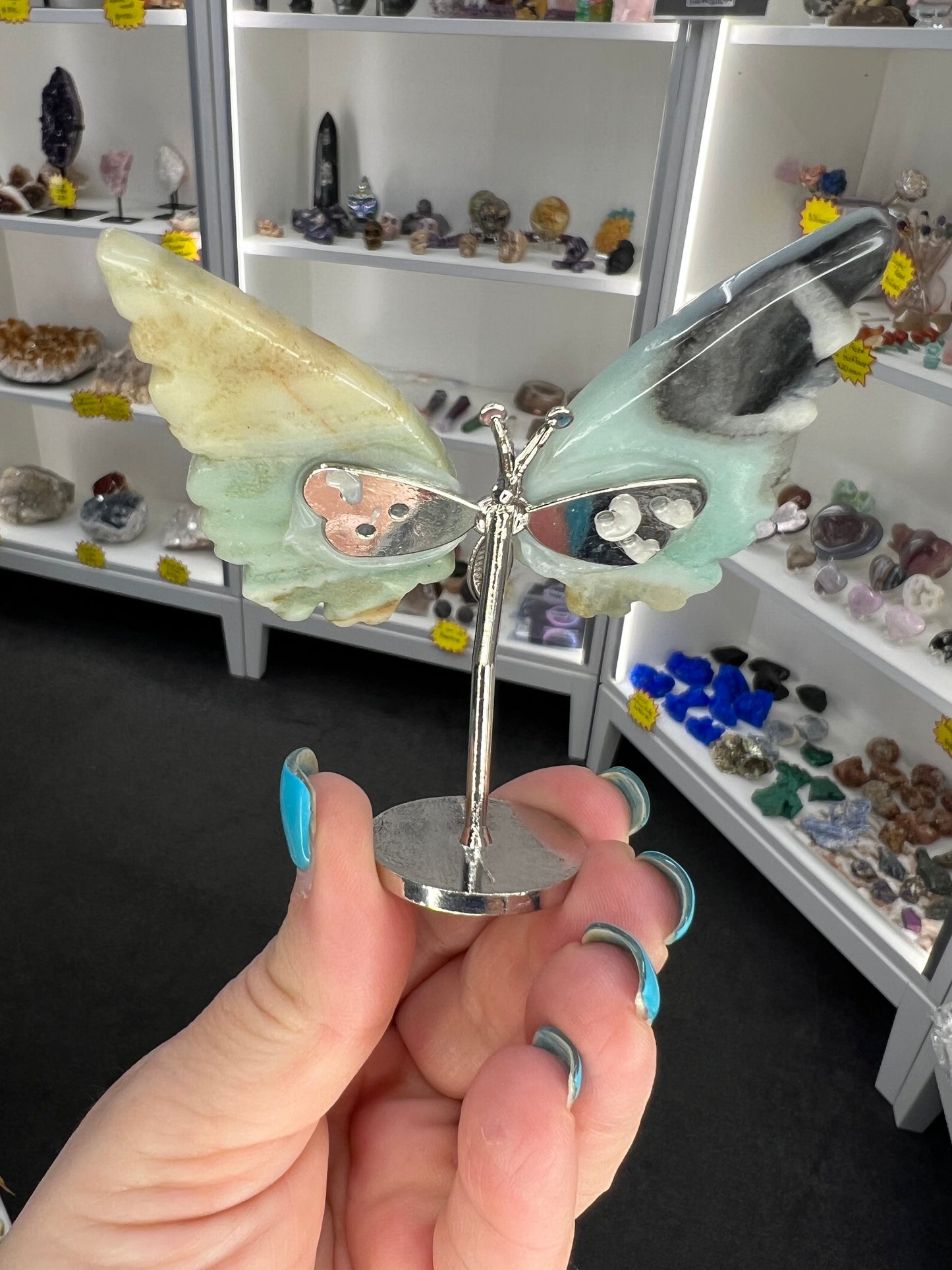Caribbean Calcite Butterfly