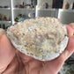 Mexican Agate Geode