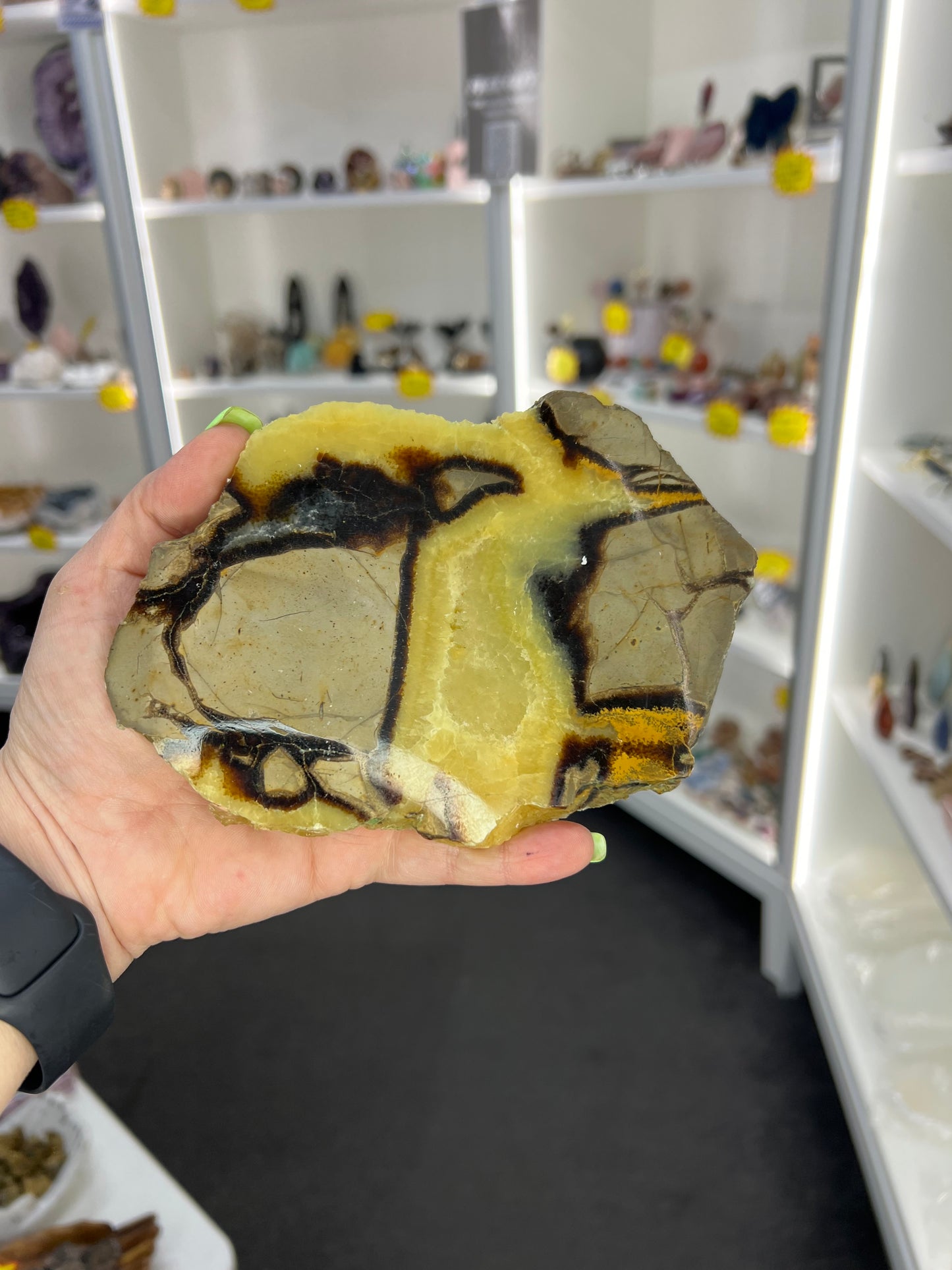 Septarian Slab
