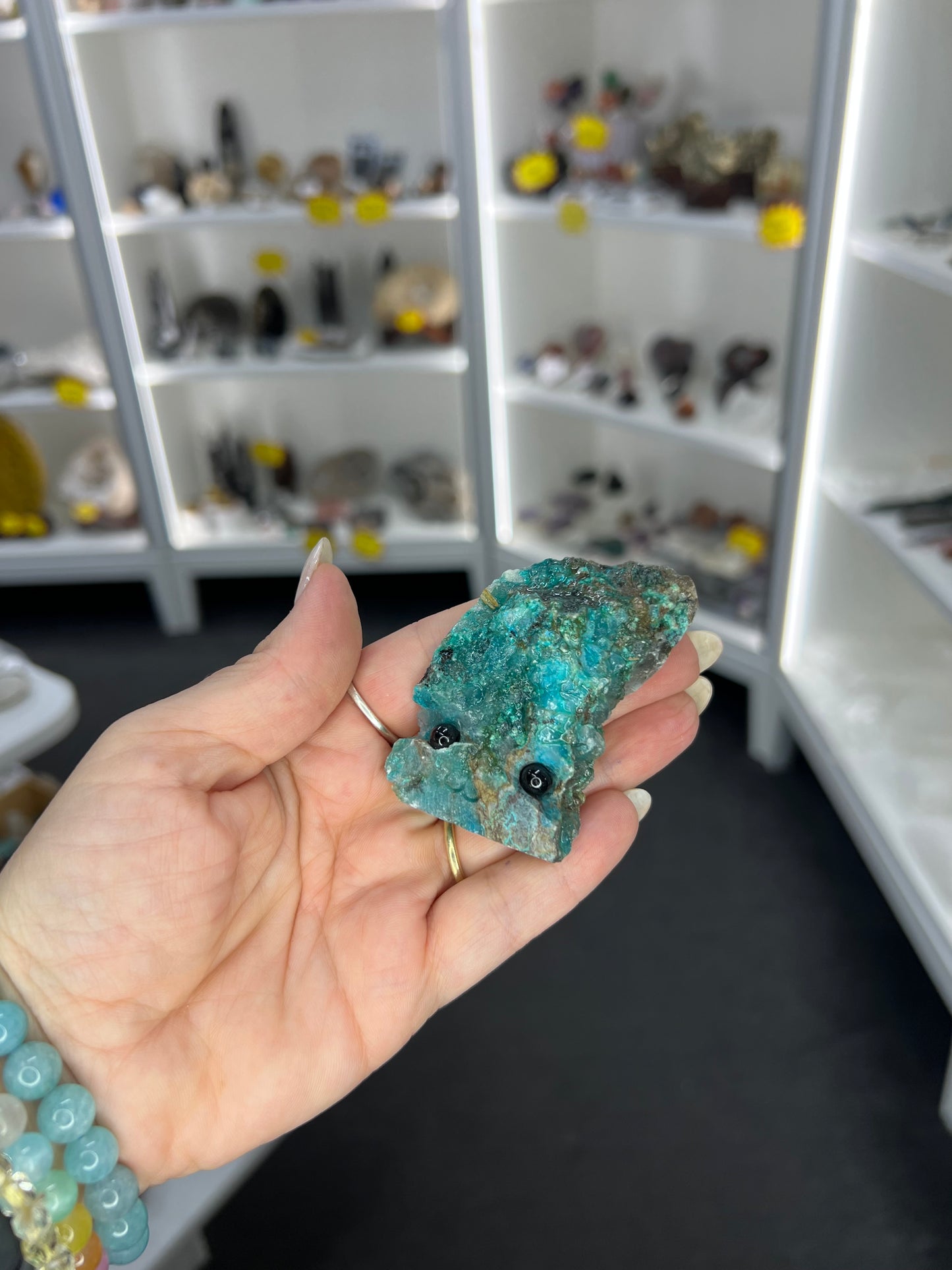 Chrysocolla Little Guy