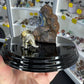 Boulder Opal with Dinosaur