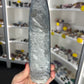 Orthoceras Totem