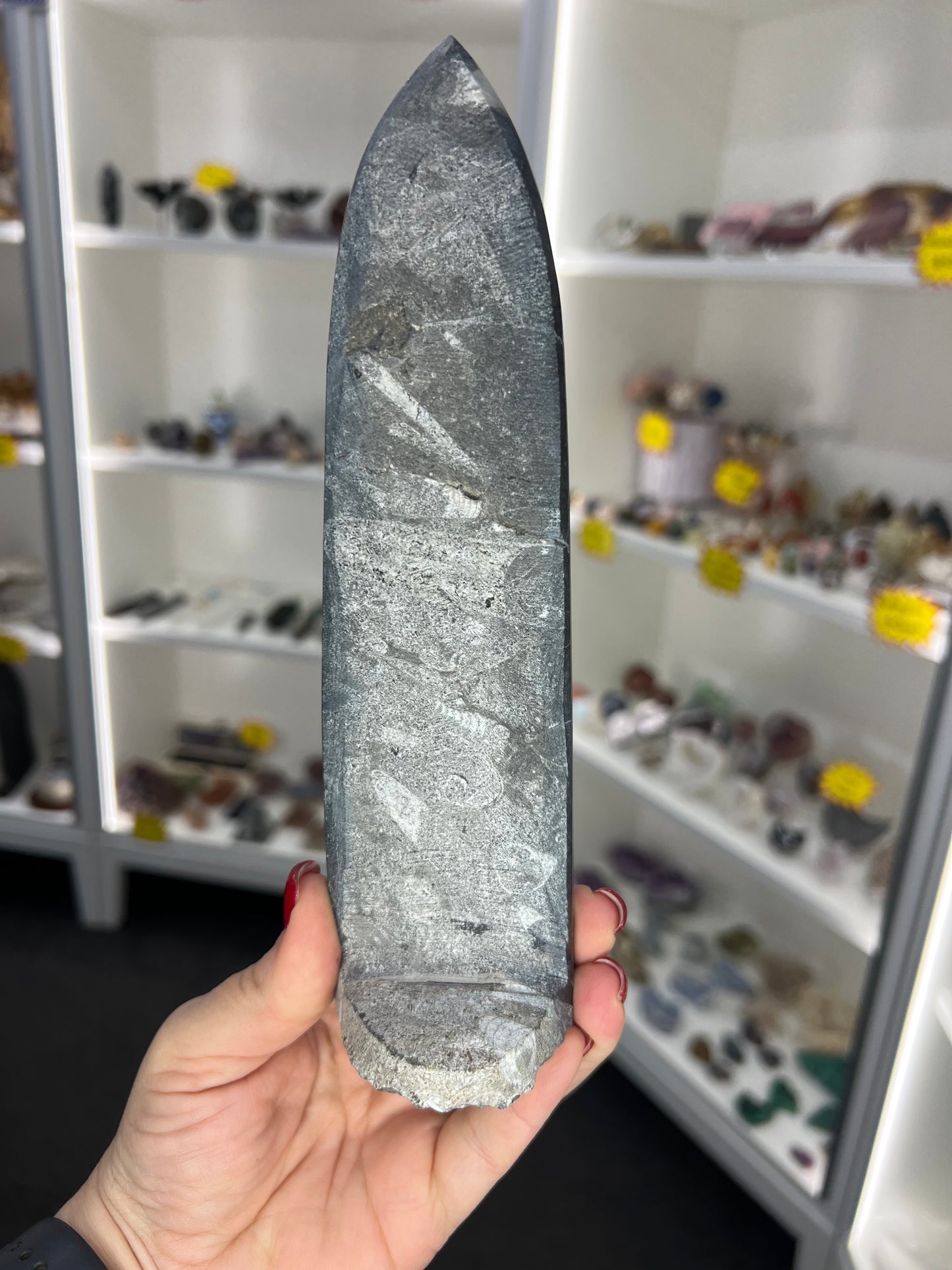 Orthoceras Totem