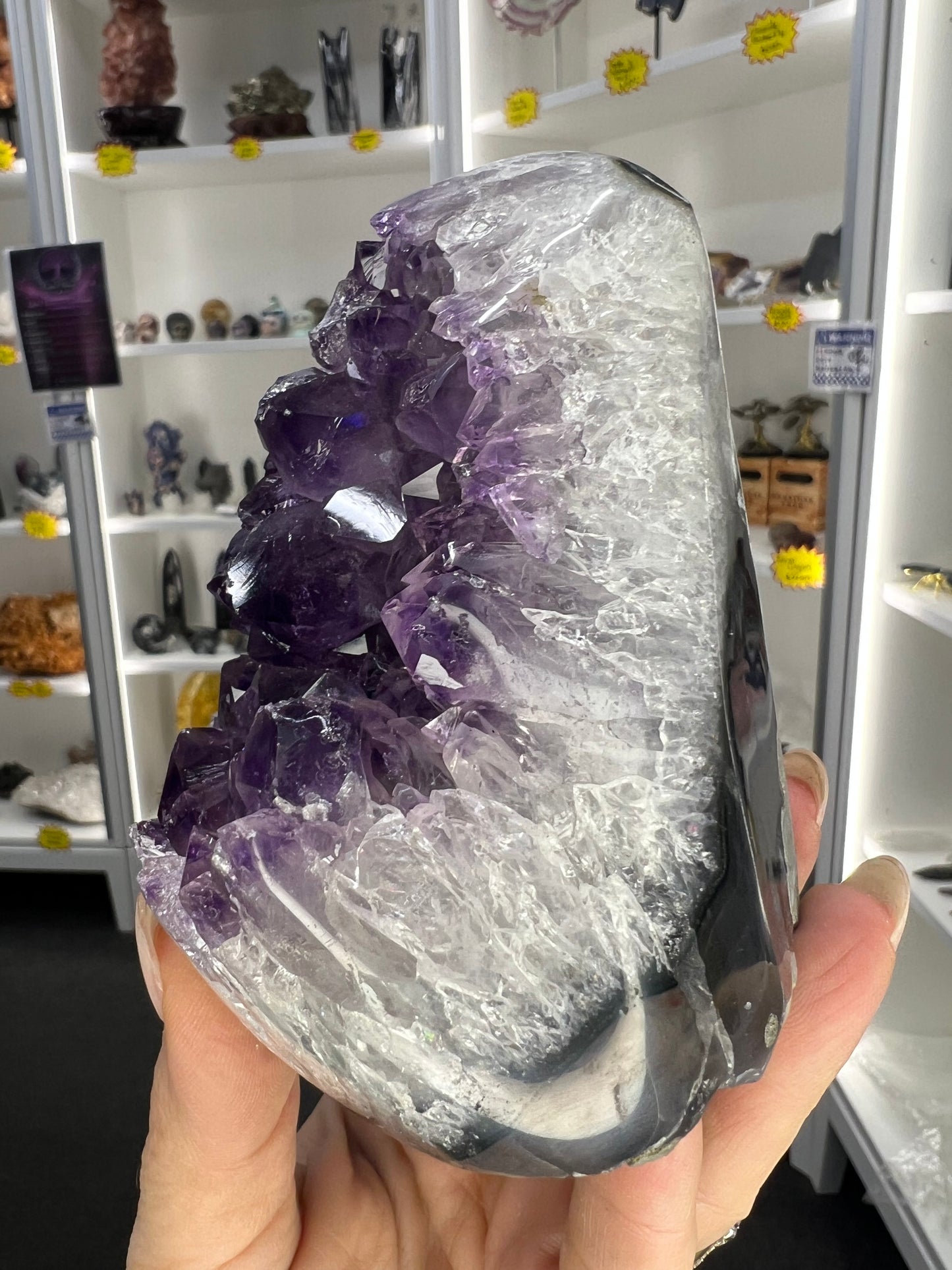 Amethyst Cluster Specimen