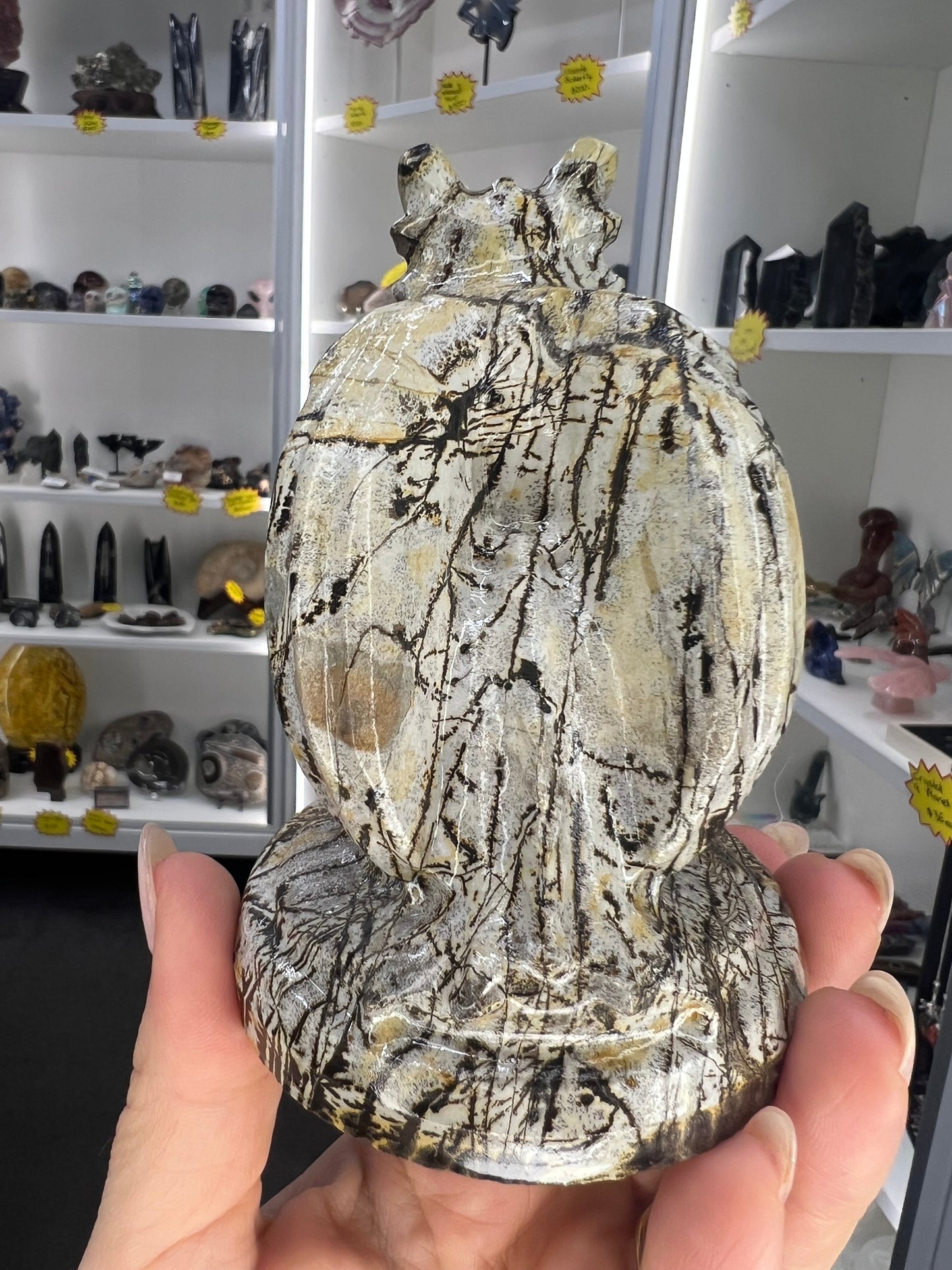 Picture Jasper Dragon
