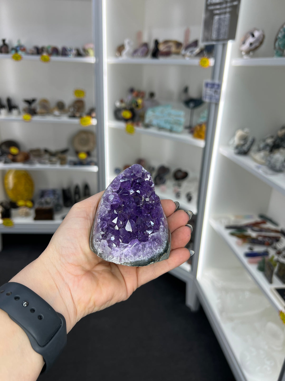 Amethyst Cluster Specimen